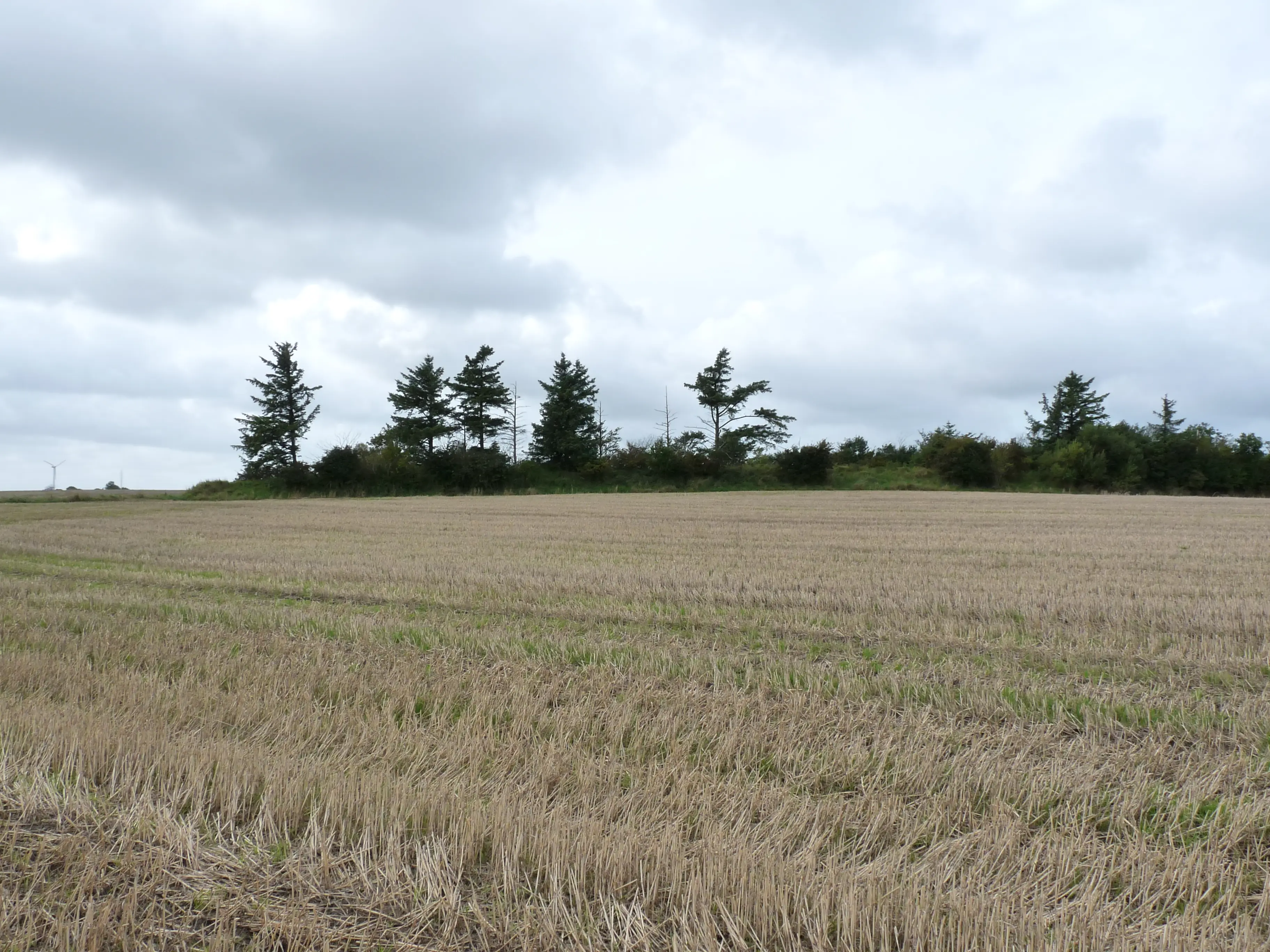 Billede af Baun Trinbræt - det eneste man kan se af Baun trinbræt er resterne af bane dæmningen. Billede af Baun Trinbræt - det eneste man kan se af Baun trinbræt er resterne af bane dæmningen.