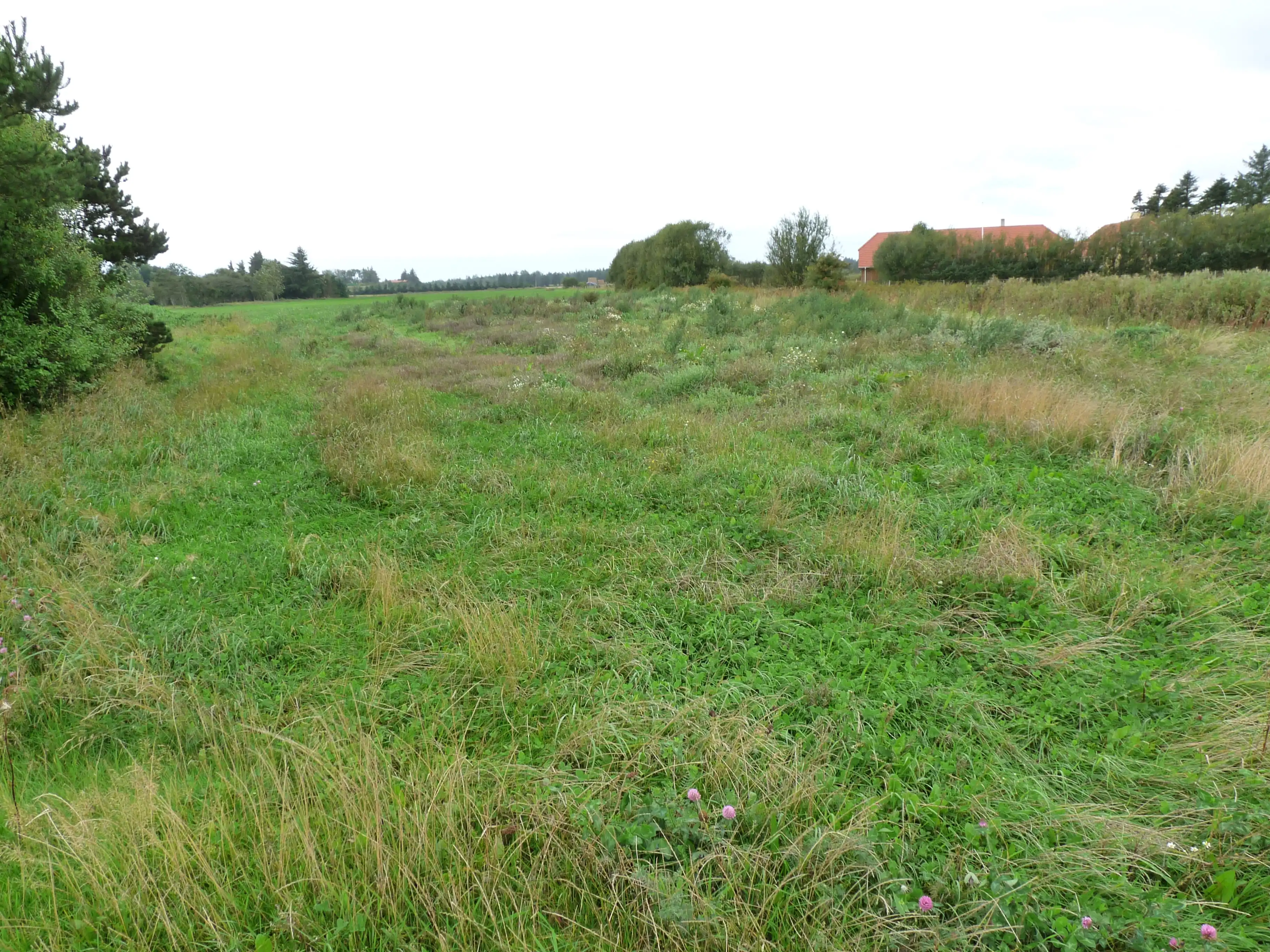 Billede af Kærup Trinbræt - Trinbræt er nedrevet, men Kærup Trinbræt har ligget her. Billede af Kærup Trinbræt - Trinbræt er nedrevet, men Kærup Trinbræt har ligget her.