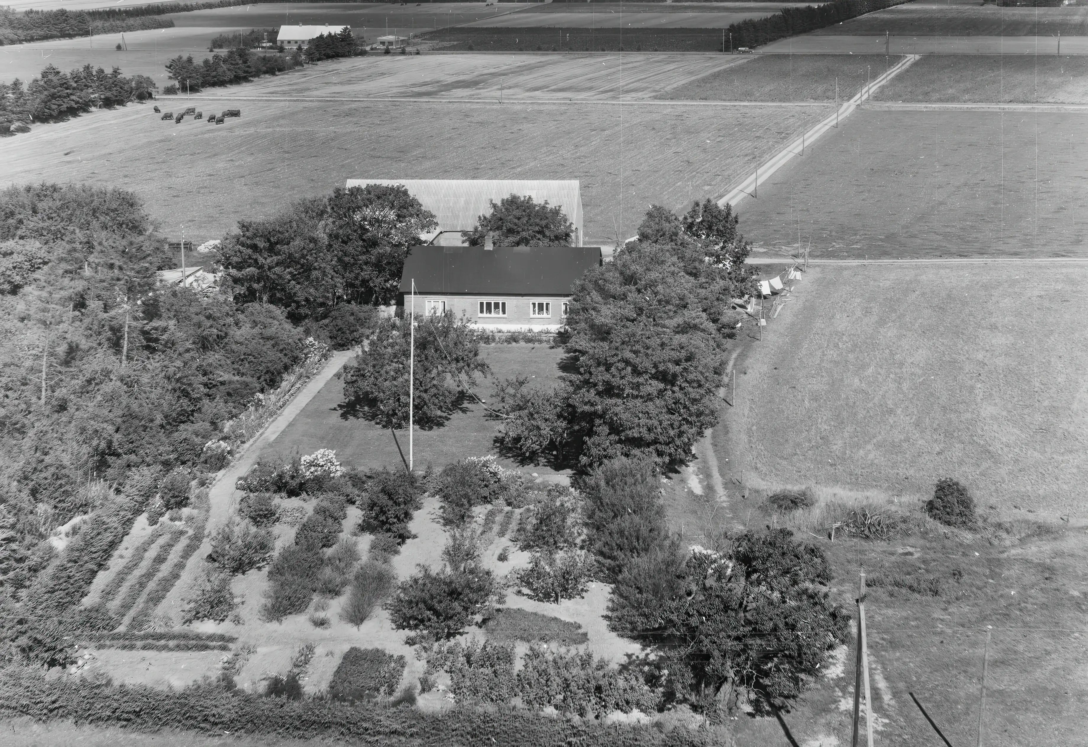 Billede af Hinnum Trinbræt. Billede af Hinnum Trinbræt.