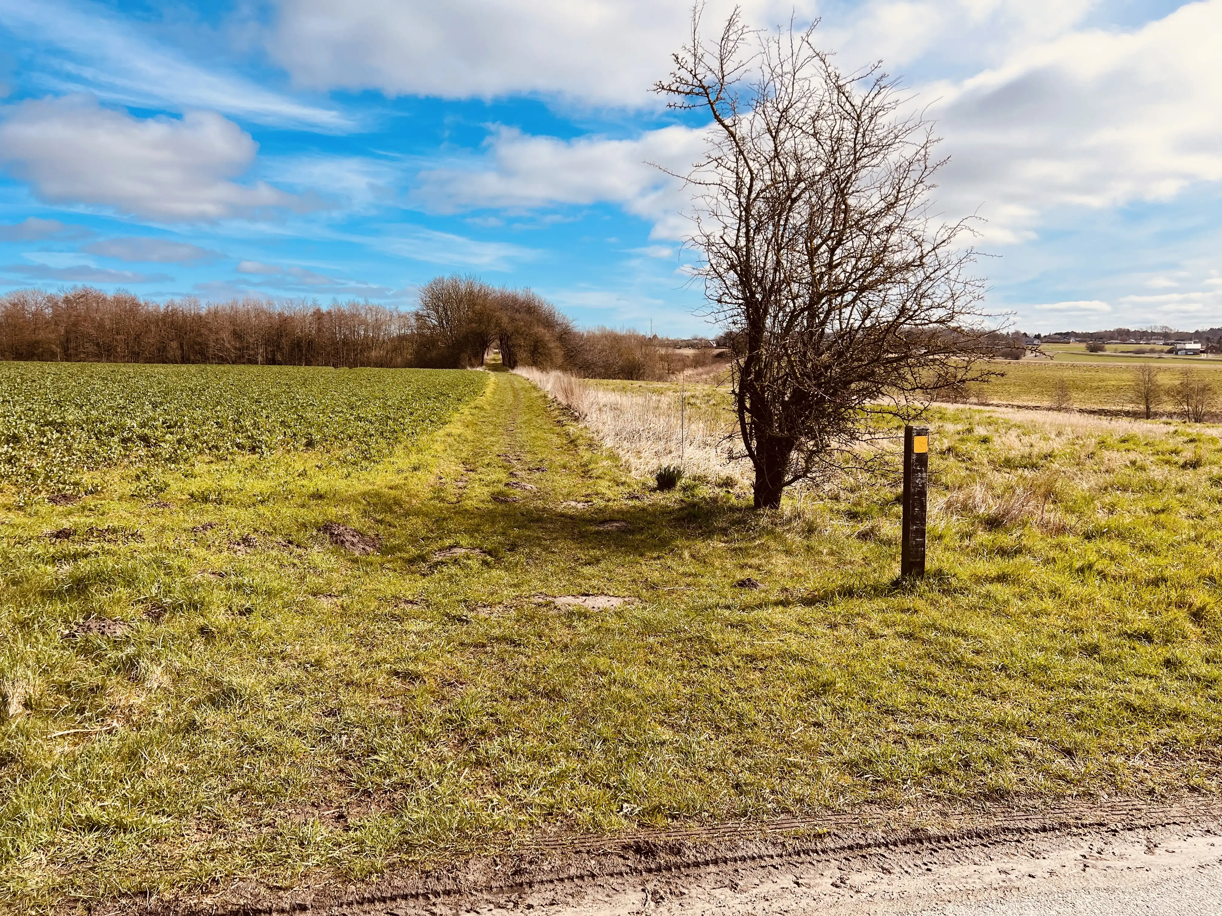 Billede af Tendrupvejen Trinbræt - Trinbræt er nedrevet, men Tendrupvejen Trinbræt har ligget her. Billede af Tendrupvejen Trinbræt - Trinbræt er nedrevet, men Tendrupvejen Trinbræt har ligget her.