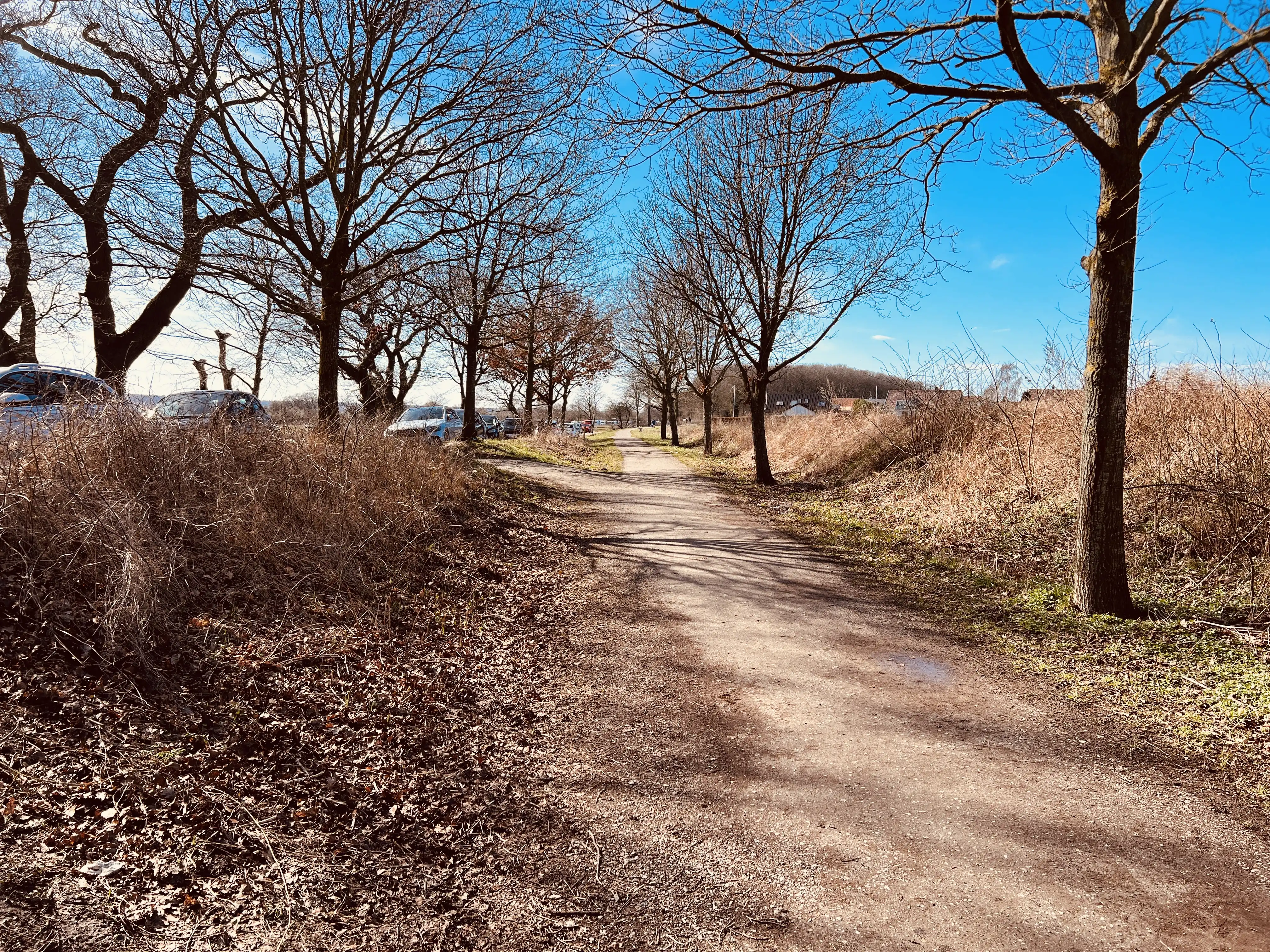 Billede af Strandskov Trinbræt - Trinbræt er nedrevet, men Strandskov Trinbræt har ligget her.
