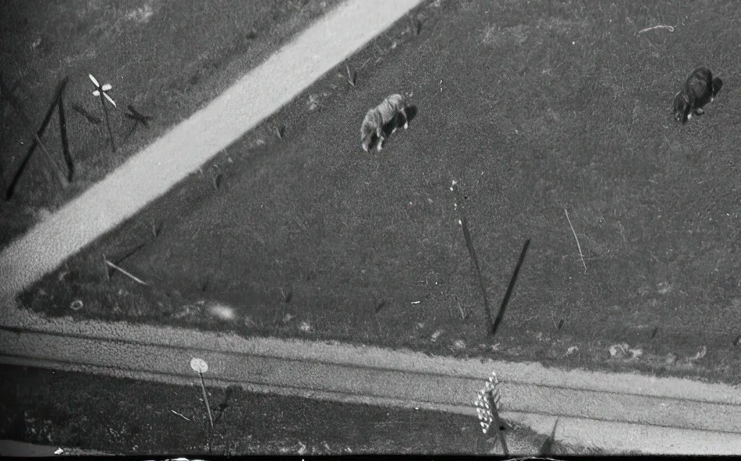 Billede af Vrønding Østermark Trinbræt. Billede af Vrønding Østermark Trinbræt.