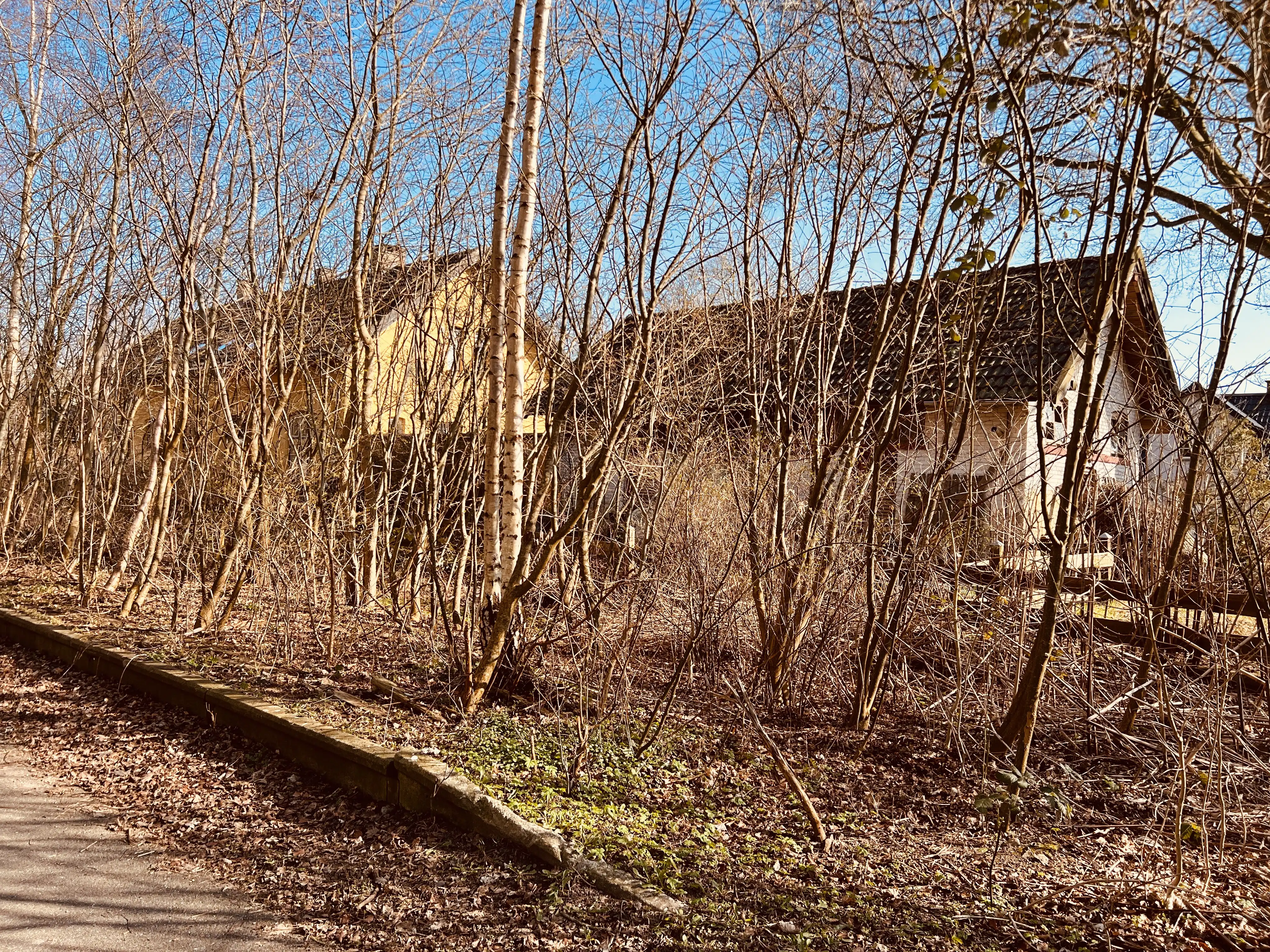 Billede af Hyllinge Station. Billede af Hyllinge Station.