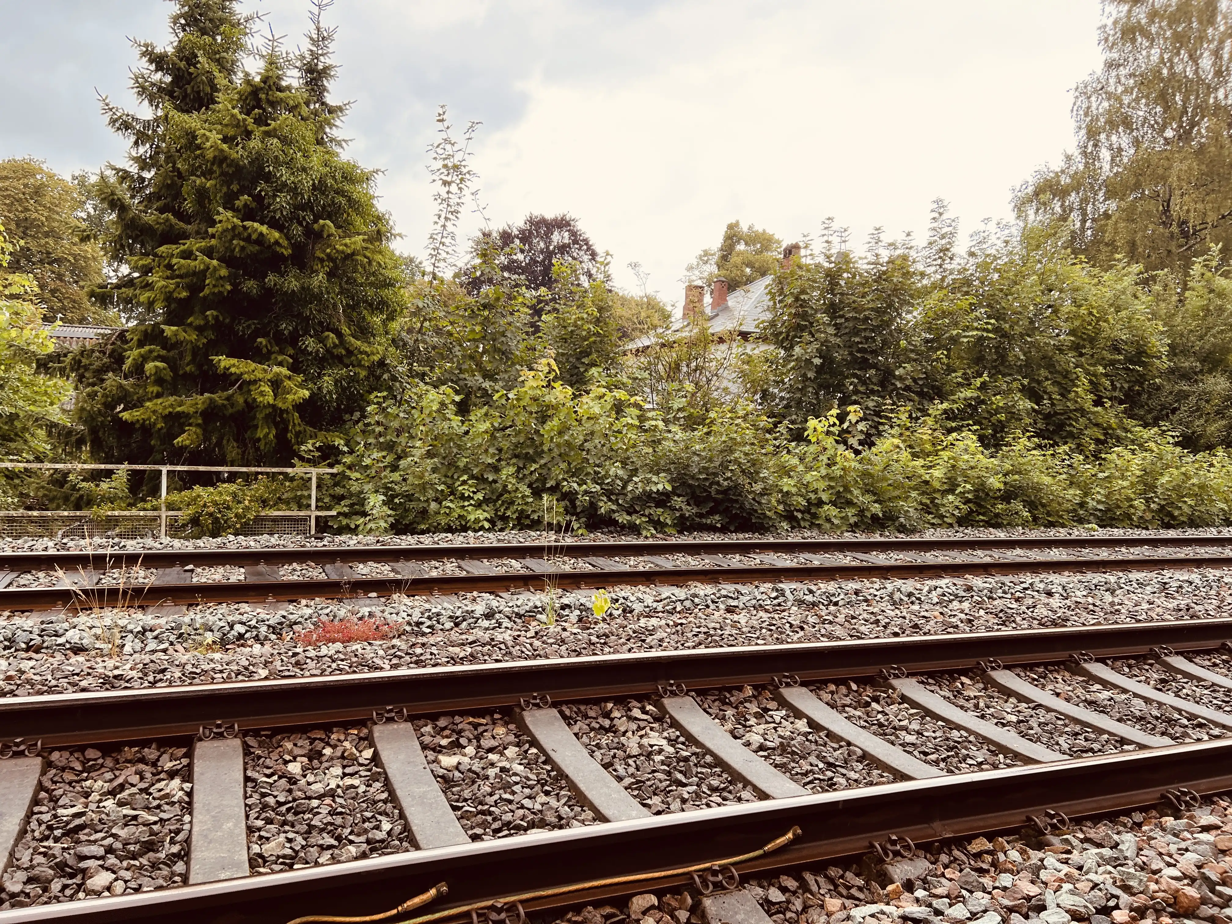 Billede af Strandparken Trinbræt (uofficielt) - Trinbræt (uofficielt) er nedrevet, men Strandparken Trinbræt (uofficielt) har ligget her. Billede af Strandparken Trinbræt (uofficielt) - Trinbræt (uofficielt) er nedrevet, men Strandparken Trinbræt (uofficielt) har ligget her.