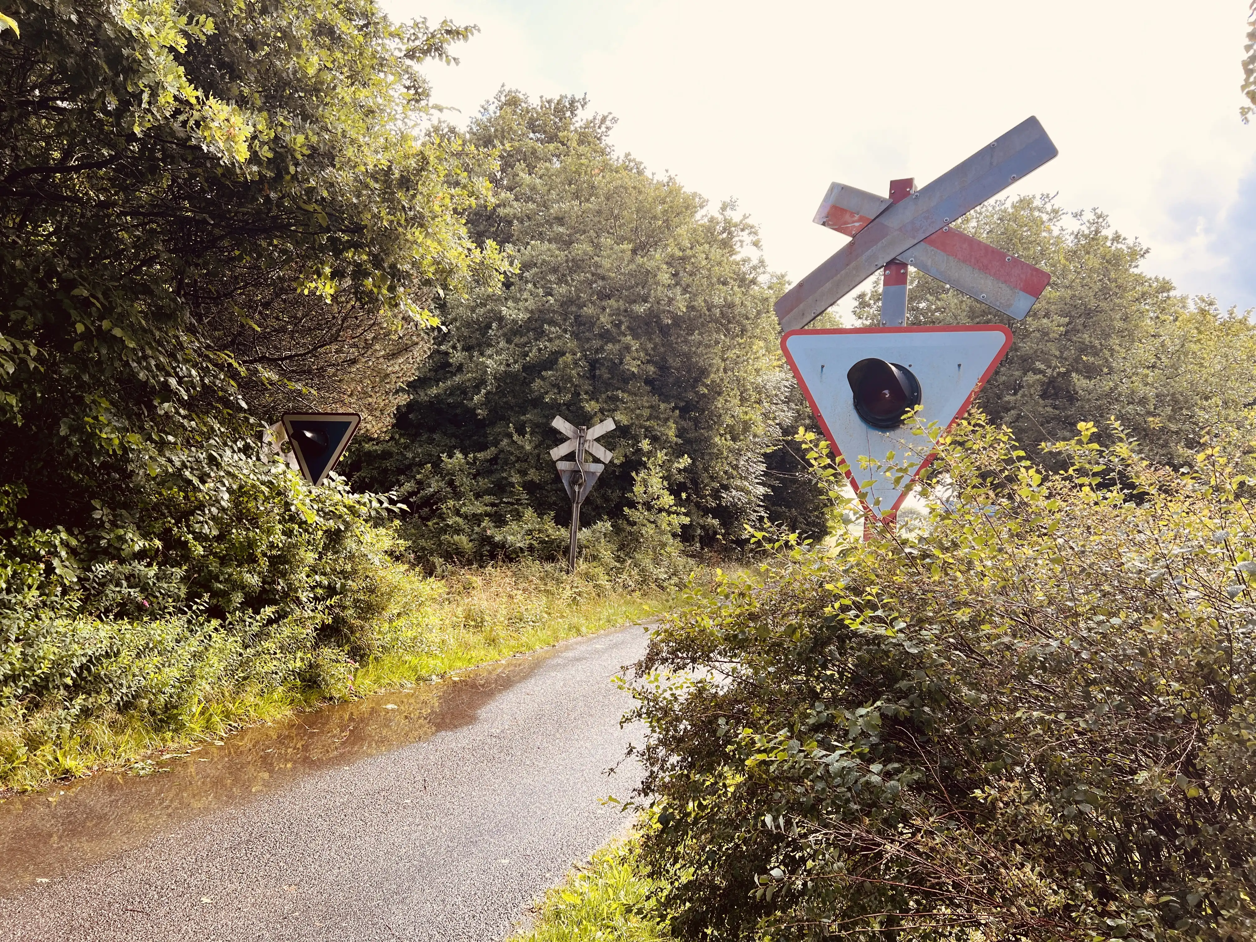 Billede af Vester Bjerndrup Trinbræt - Trinbræt er nedrevet, men Vester Bjerndrup Trinbræt har ligget her.