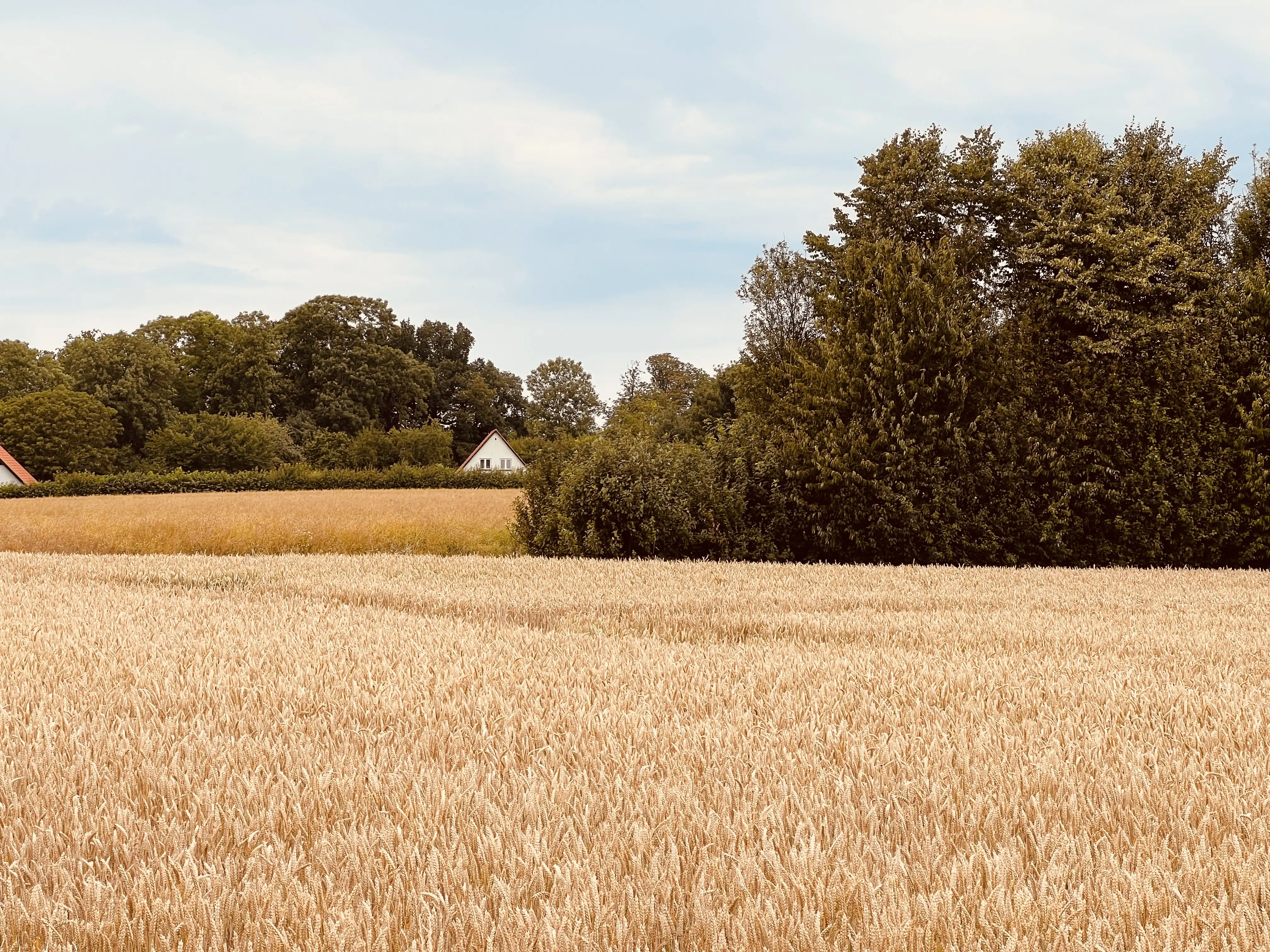 Billede af Egemarke Trinbræt med Sidespor - Trinbræt med Sidespor er nedrevet, men Egemarke Trinbræt med Sidespor har ligget her. Billede af Egemarke Trinbræt med Sidespor - Trinbræt med Sidespor er nedrevet, men Egemarke Trinbræt med Sidespor har ligget her.