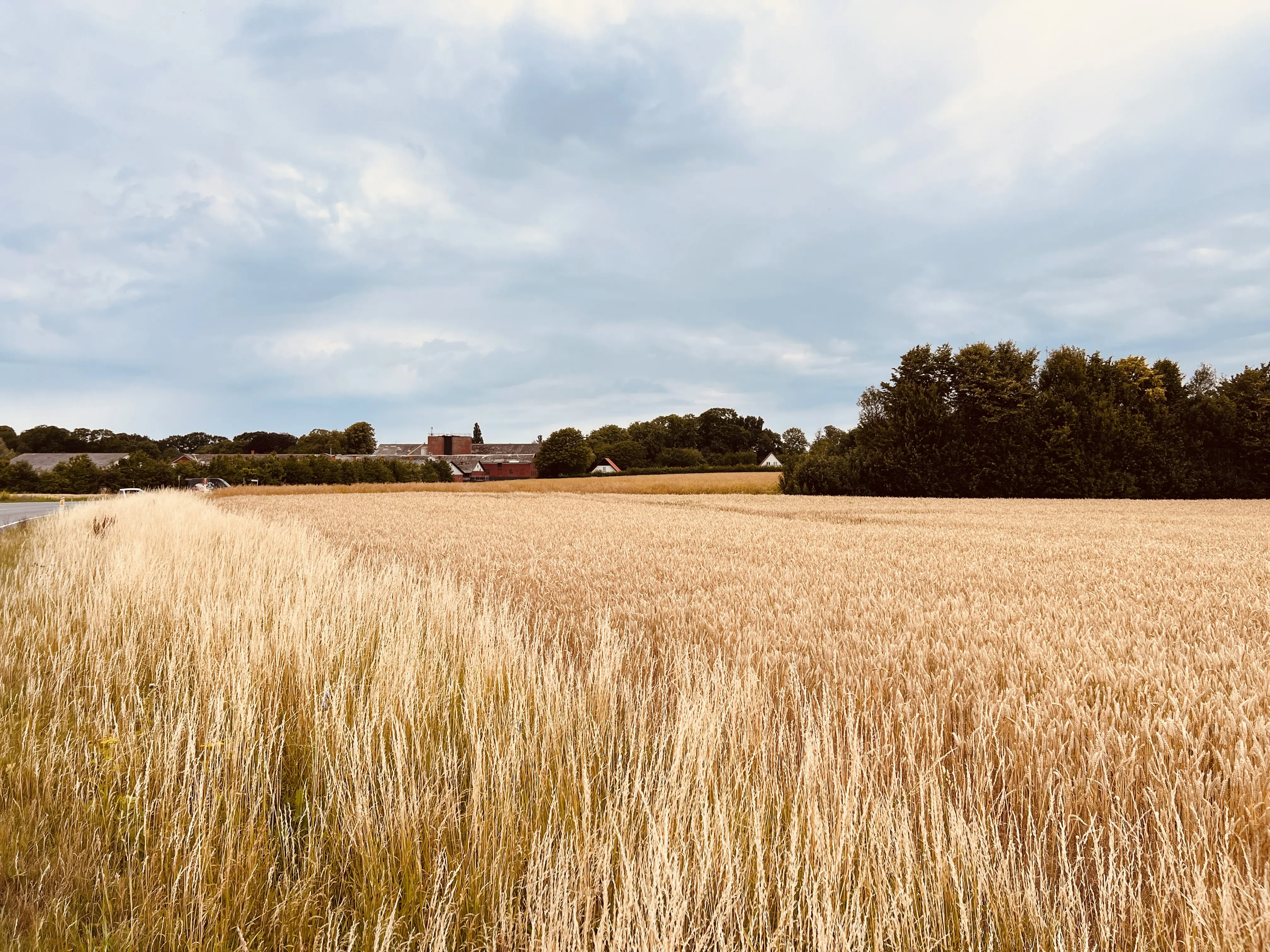 Billede af Egemarke Trinbræt med Sidespor - Trinbræt med Sidespor er nedrevet, men Egemarke Trinbræt med Sidespor har ligget her. Billede af Egemarke Trinbræt med Sidespor - Trinbræt med Sidespor er nedrevet, men Egemarke Trinbræt med Sidespor har ligget her.