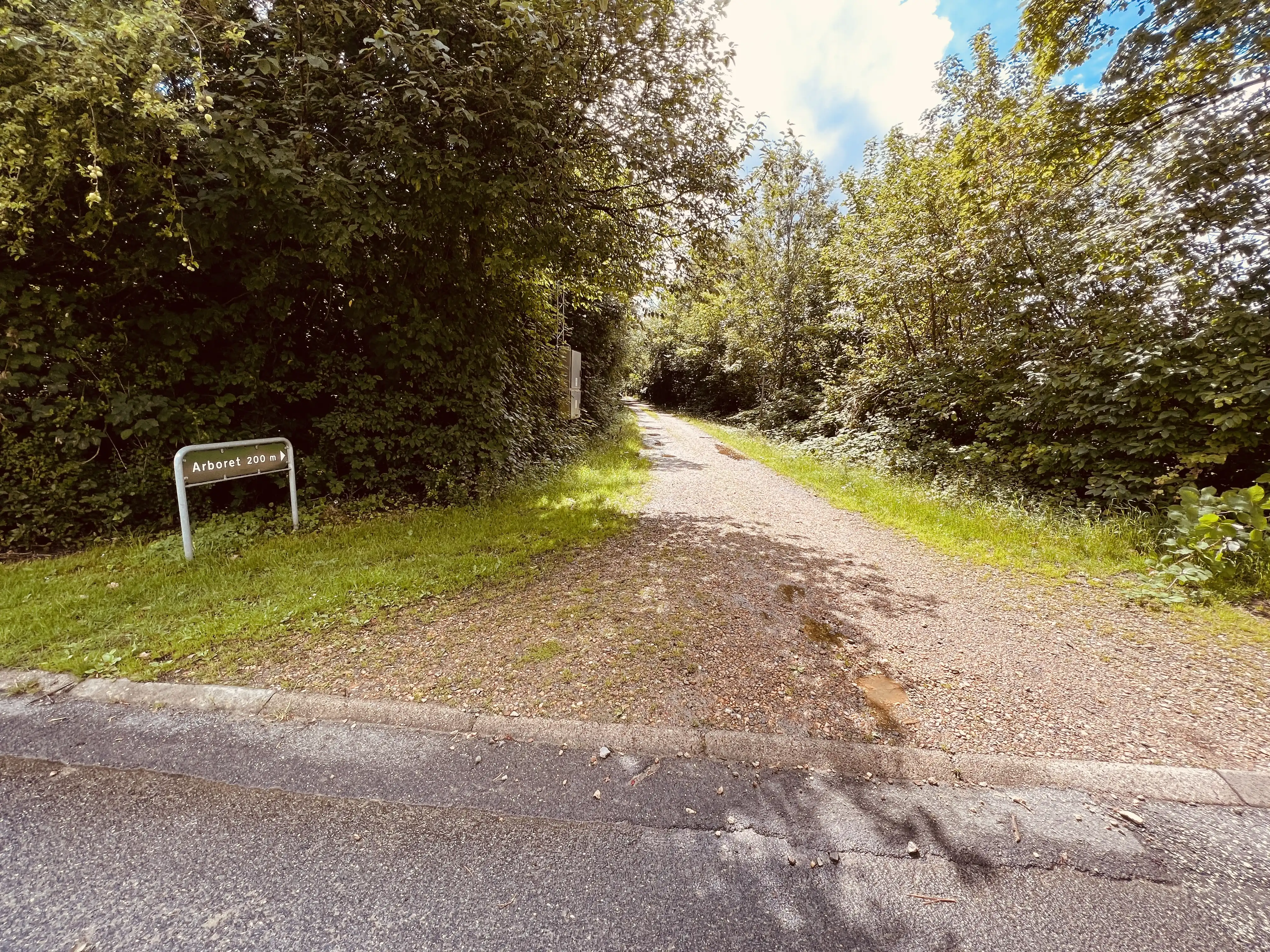 Billede af Videbæk ved Gl. Kongevej Trinbræt - Trinbræt er nedrevet, men Videbæk ved Gl. Kongevej Trinbræt har ligget her. Billede af Videbæk ved Gl. Kongevej Trinbræt - Trinbræt er nedrevet, men Videbæk ved Gl. Kongevej Trinbræt har ligget her.