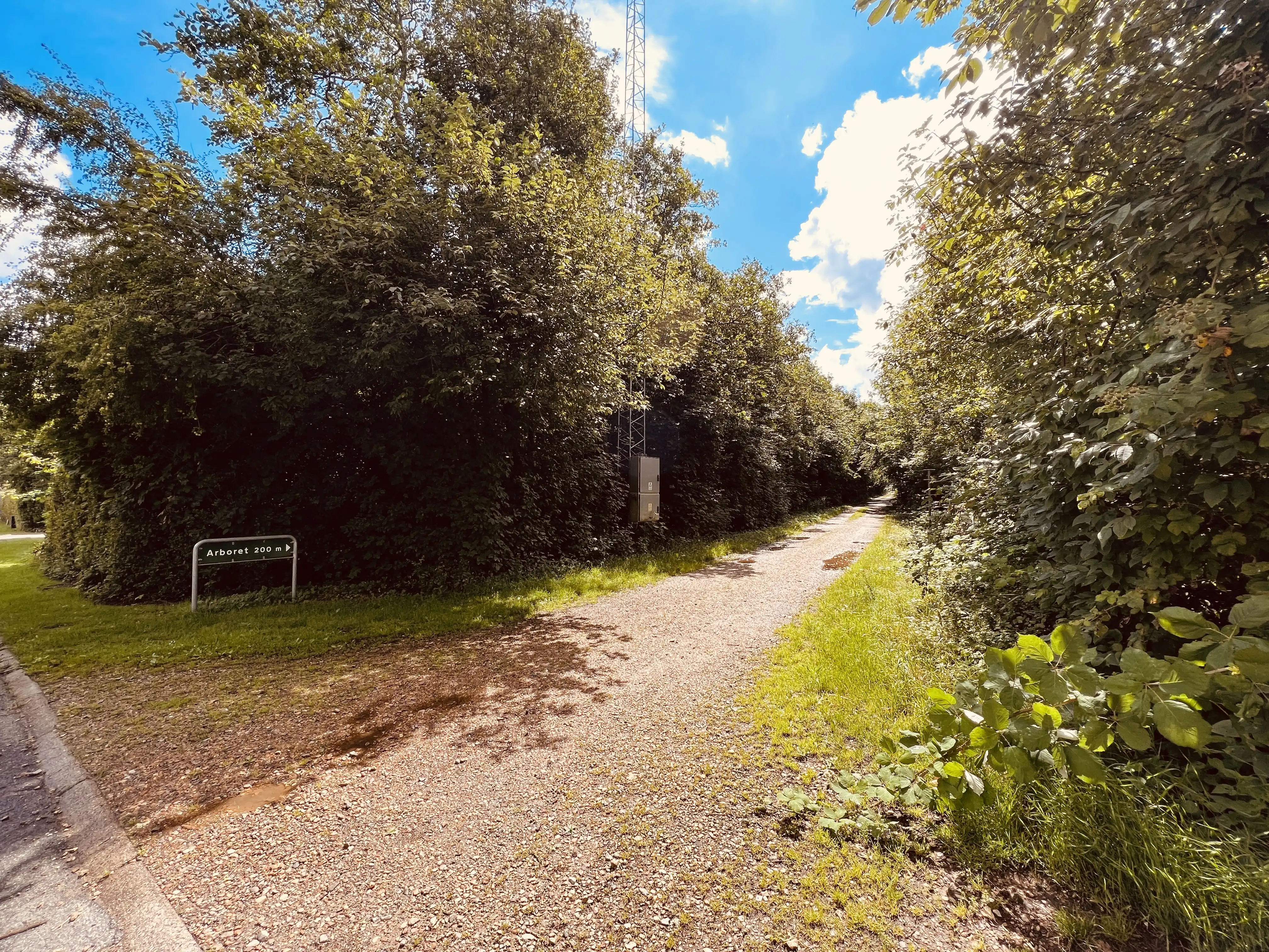 Billede af Videbæk ved Gl. Kongevej Trinbræt - Trinbræt er nedrevet, men Videbæk ved Gl. Kongevej Trinbræt har ligget her. Billede af Videbæk ved Gl. Kongevej Trinbræt - Trinbræt er nedrevet, men Videbæk ved Gl. Kongevej Trinbræt har ligget her.