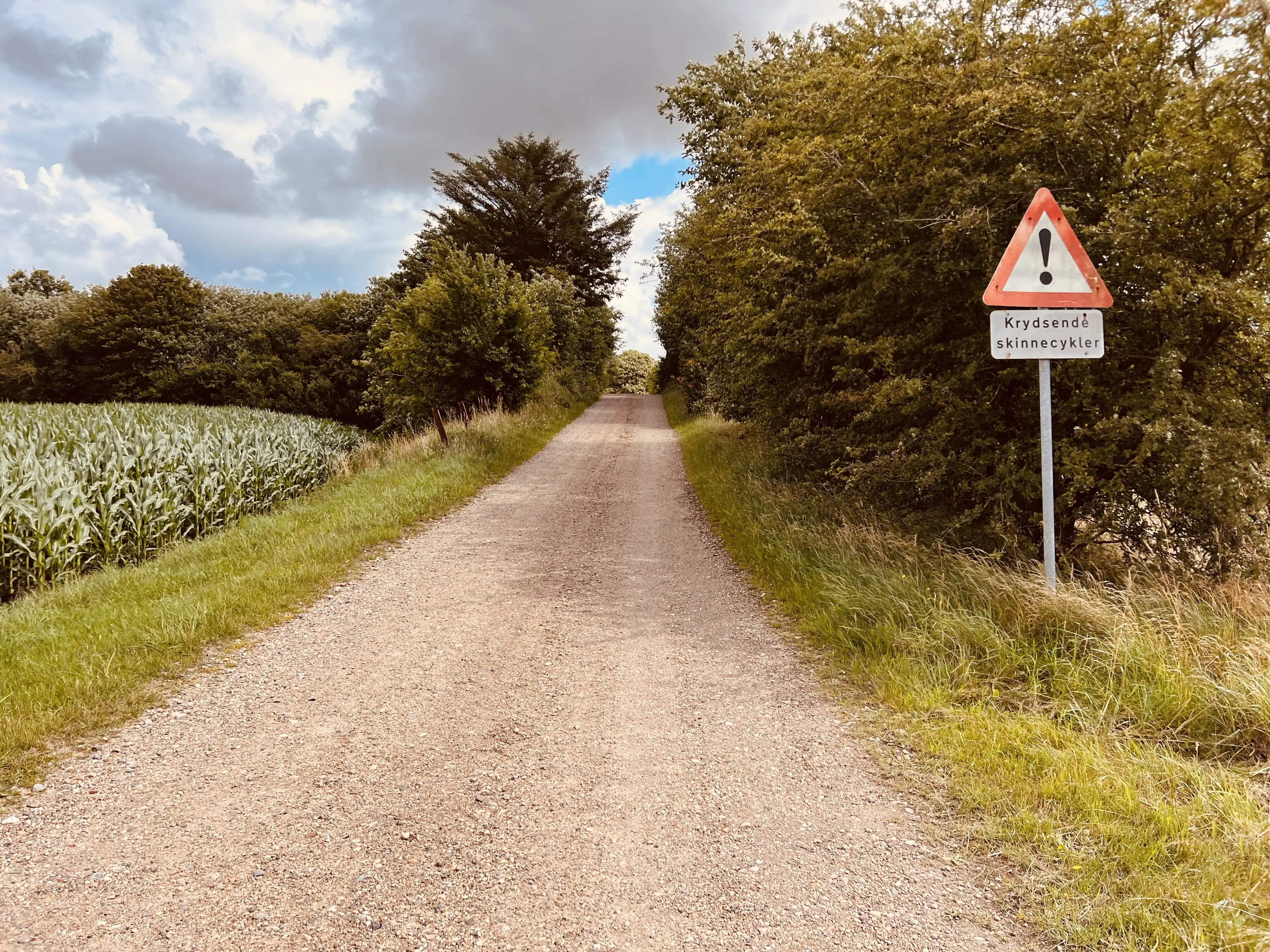 Billede af Risdal Trinbræt - Trinbræt er nedrevet, men Risdal Trinbræt har ligget her. Billede af Risdal Trinbræt - Trinbræt er nedrevet, men Risdal Trinbræt har ligget her.