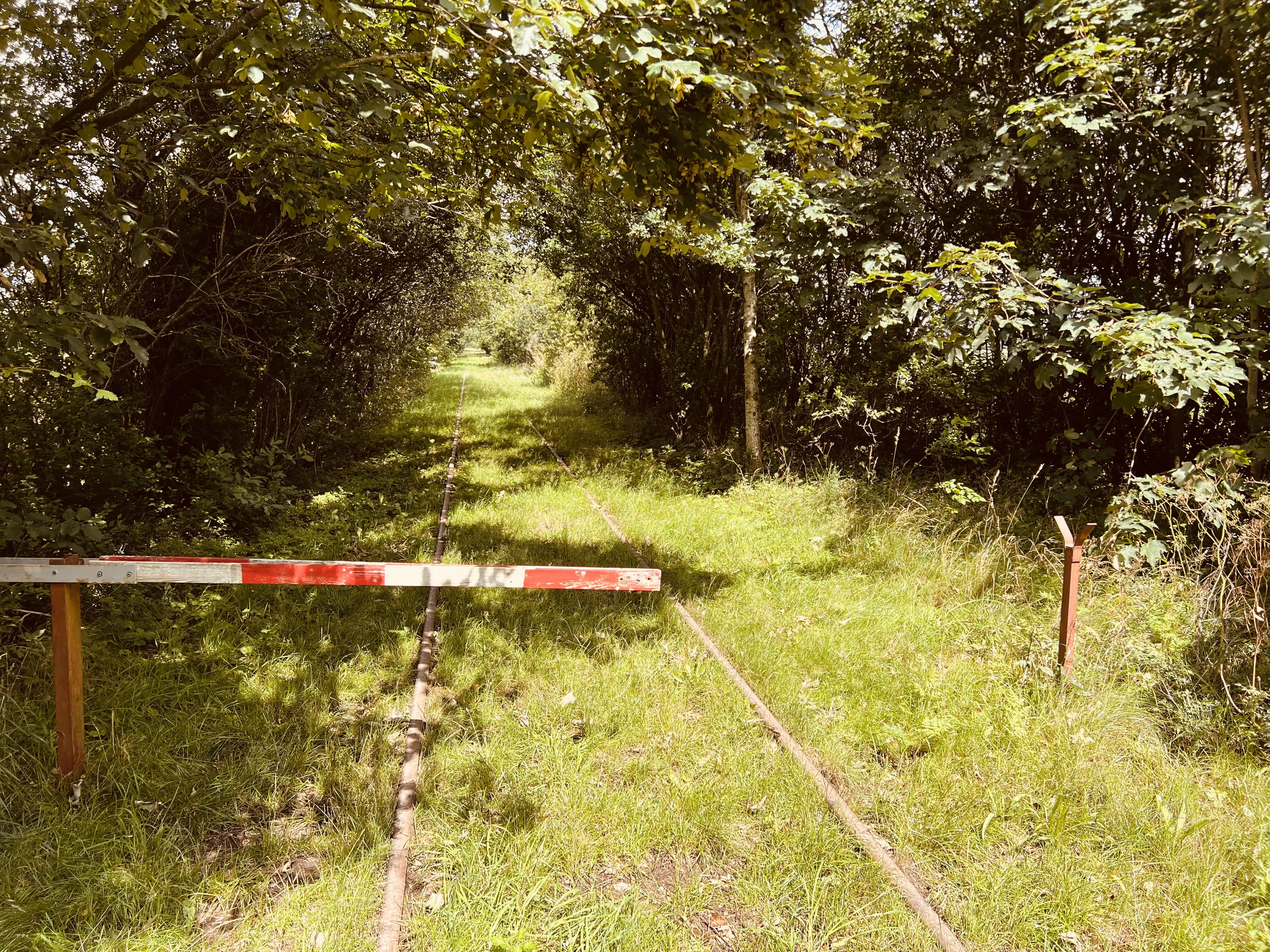 Billede af Risdal Trinbræt - Trinbræt er nedrevet, men Risdal Trinbræt har ligget her. Billede af Risdal Trinbræt - Trinbræt er nedrevet, men Risdal Trinbræt har ligget her.