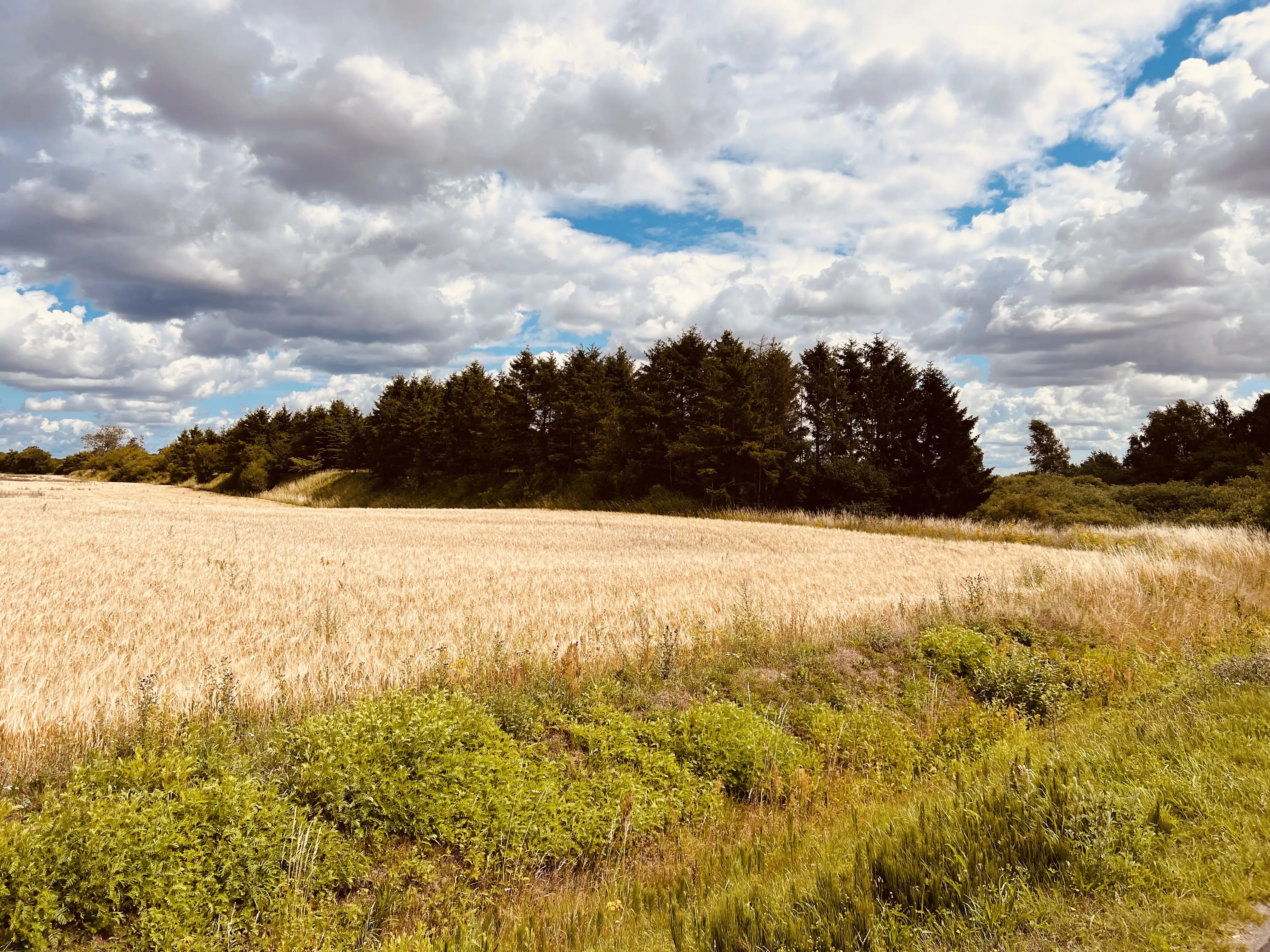 Billede af Rye Trinbræt (uofficielt) - Trinbræt (uofficielt) er nedrevet, men Rye Trinbræt (uofficielt) har ligget her. Billede af Rye Trinbræt (uofficielt) - Trinbræt (uofficielt) er nedrevet, men Rye Trinbræt (uofficielt) har ligget her.