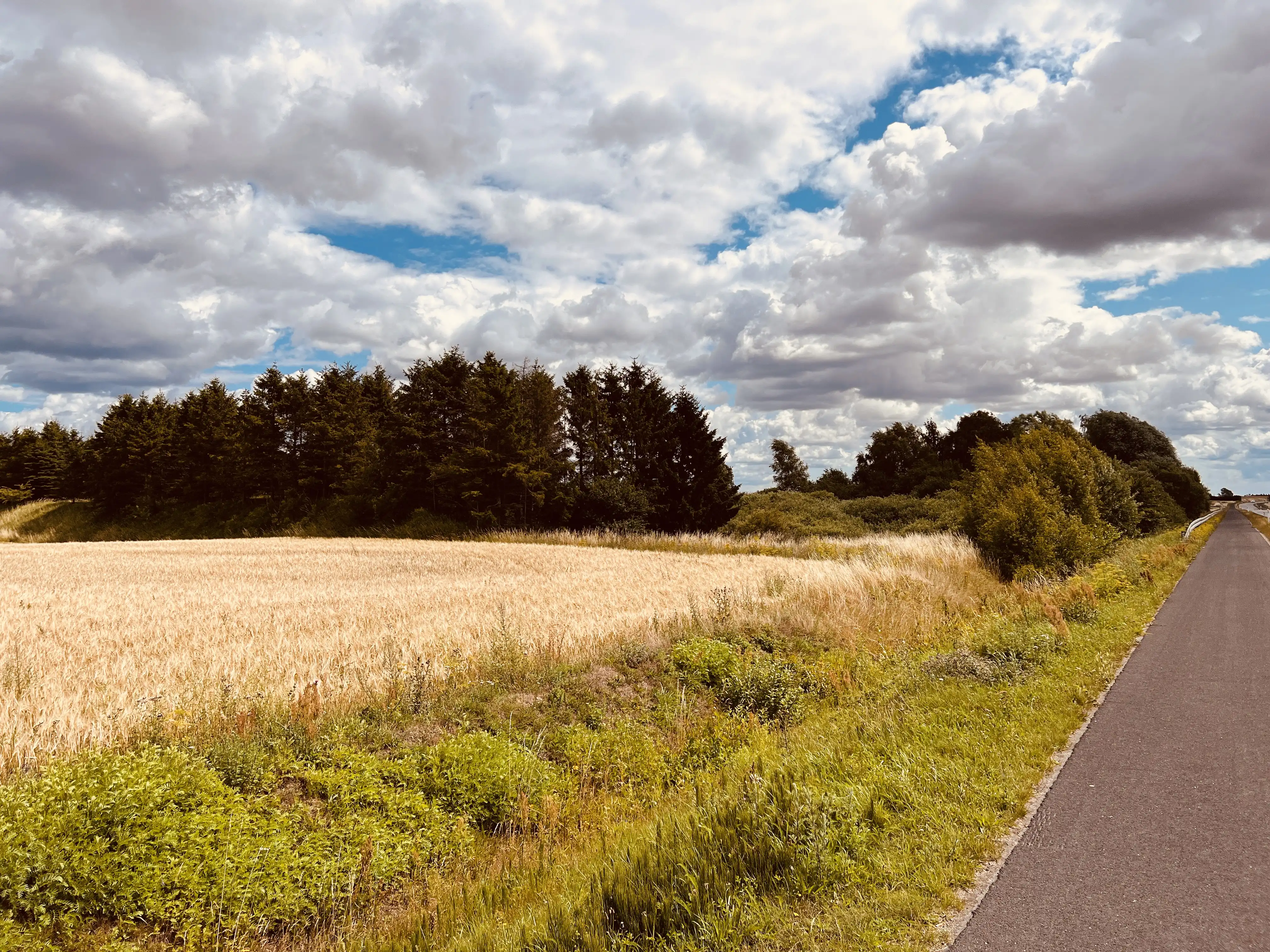 Billede af Rye Trinbræt (uofficielt) - Trinbræt (uofficielt) er nedrevet, men Rye Trinbræt (uofficielt) har ligget her. Billede af Rye Trinbræt (uofficielt) - Trinbræt (uofficielt) er nedrevet, men Rye Trinbræt (uofficielt) har ligget her.