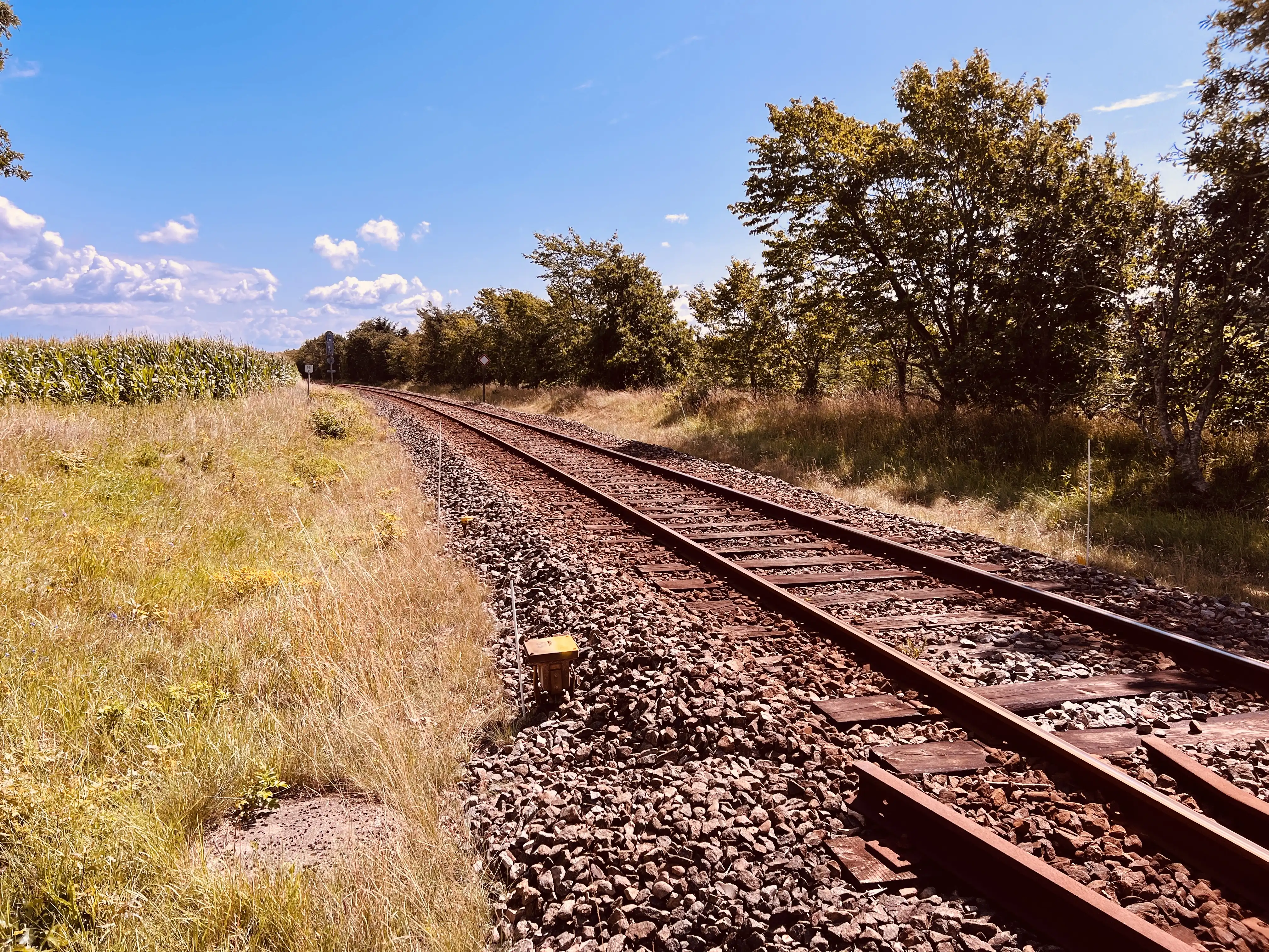Billede af Hesselmed Trinbræt - Trinbræt er nedrevet, men Hesselmed Trinbræt har ligget her.