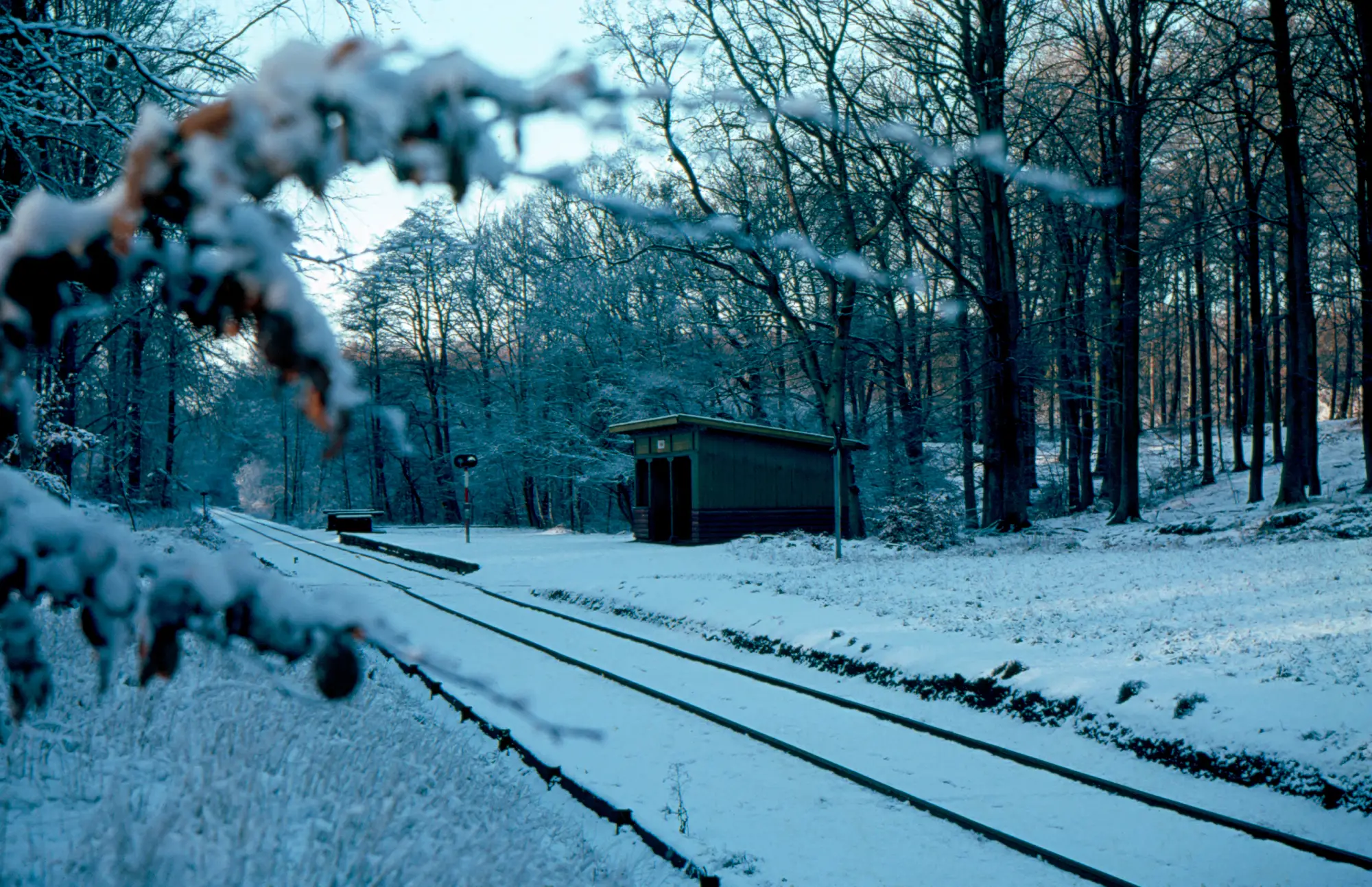 Billede af Julebæk Trinbræt.