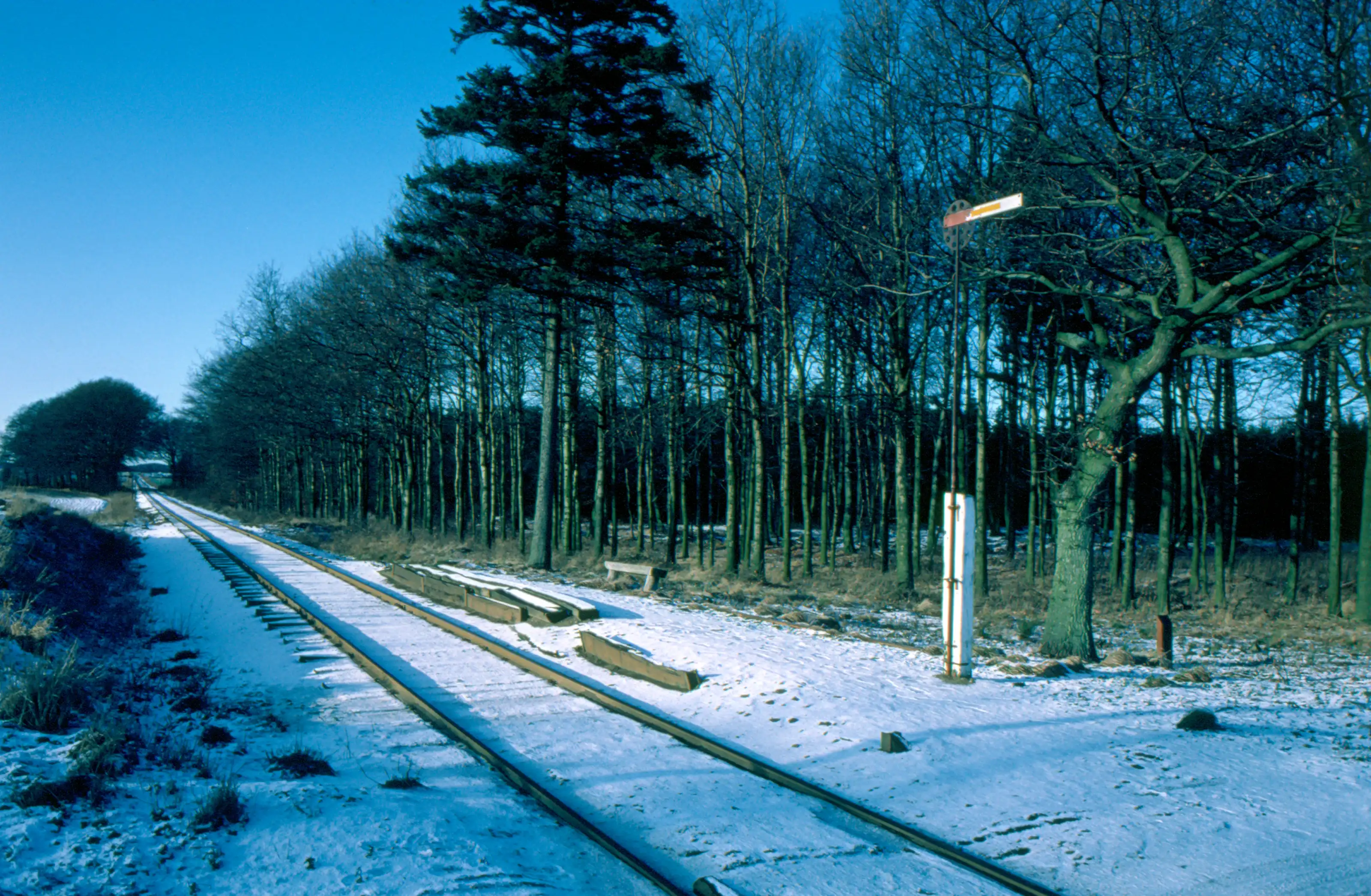 Billede af Conradineslyst Trinbræt.