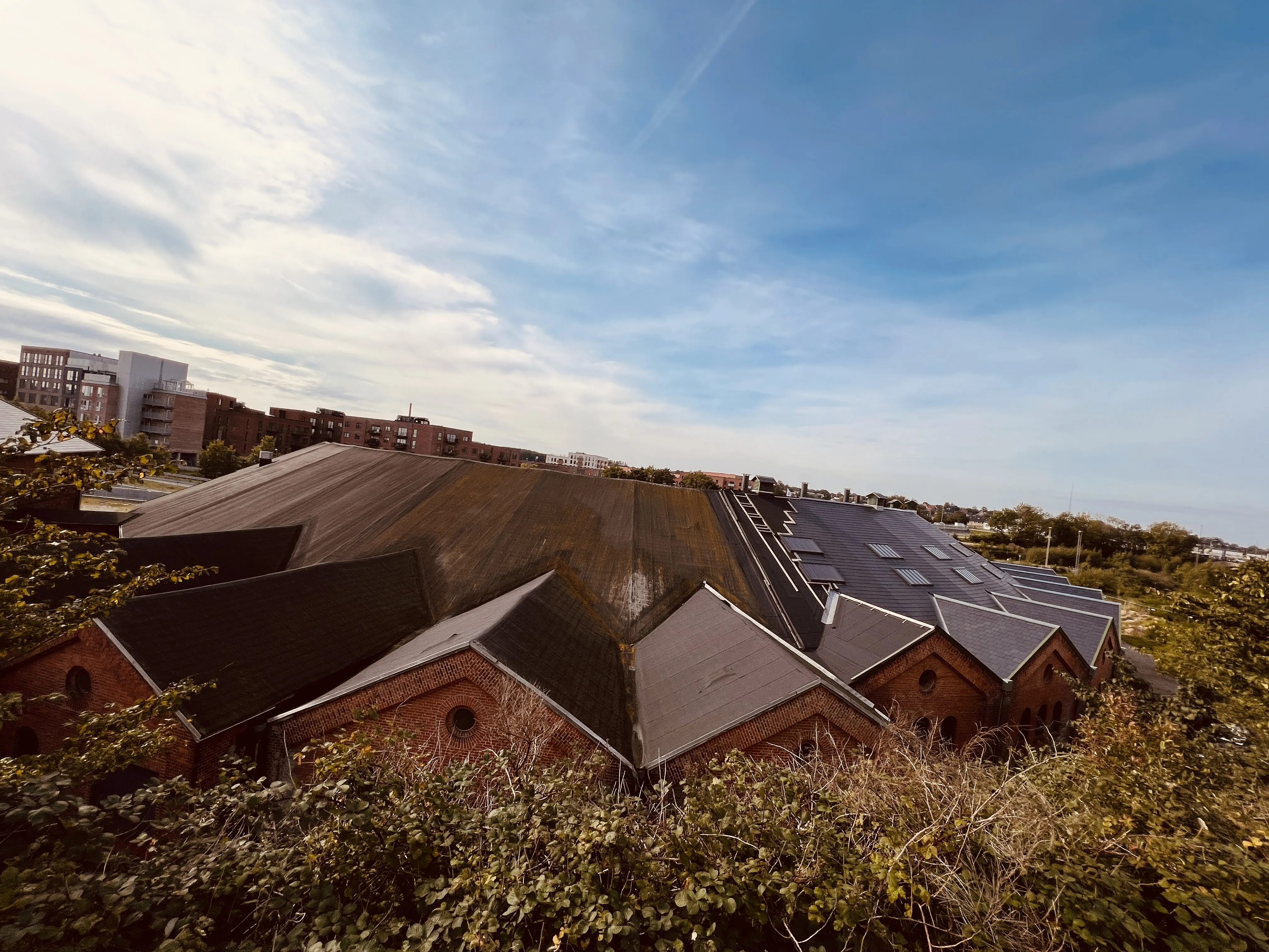 Billede af Viborg Stations remise.