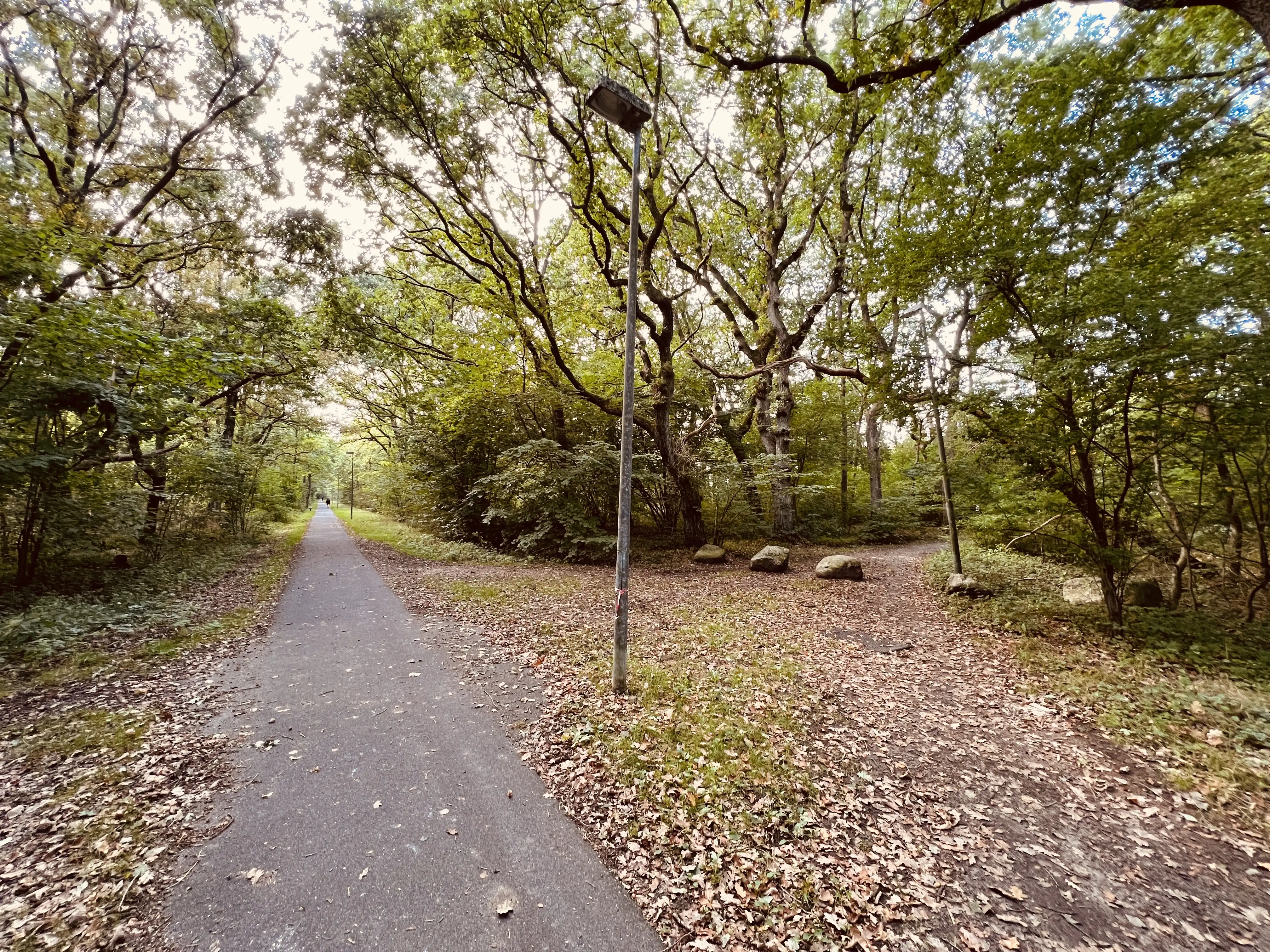 Billede af Hald Ege Trinbræt - Trinbræt er nedrevet, men Hald Ege Trinbræt har ligget her.