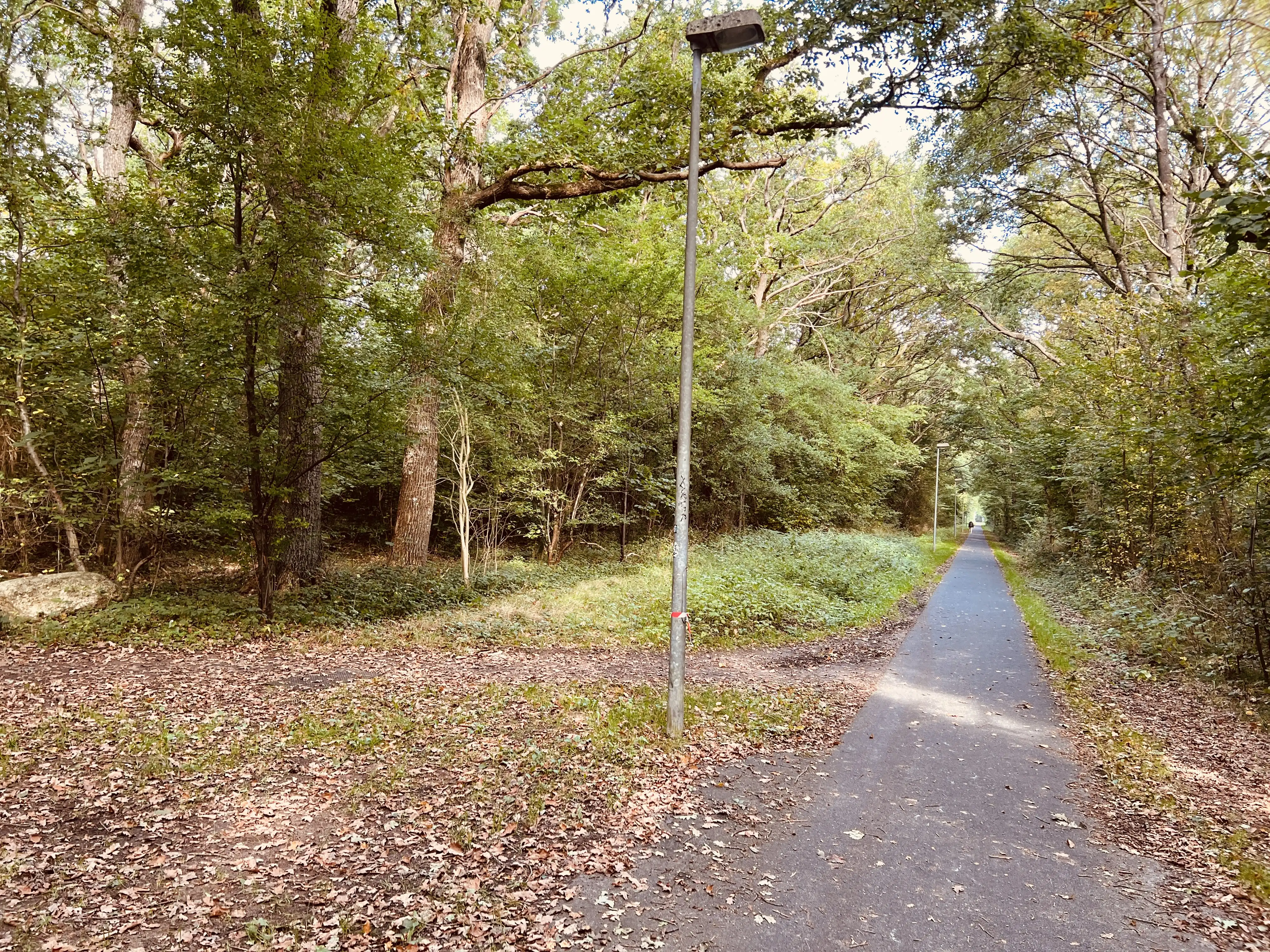 Billede af Kuranstalten Trinbræt - Trinbræt er nedrevet, men Kuranstalten Trinbræt har ligget her. Billede af Kuranstalten Trinbræt - Trinbræt er nedrevet, men Kuranstalten Trinbræt har ligget her.