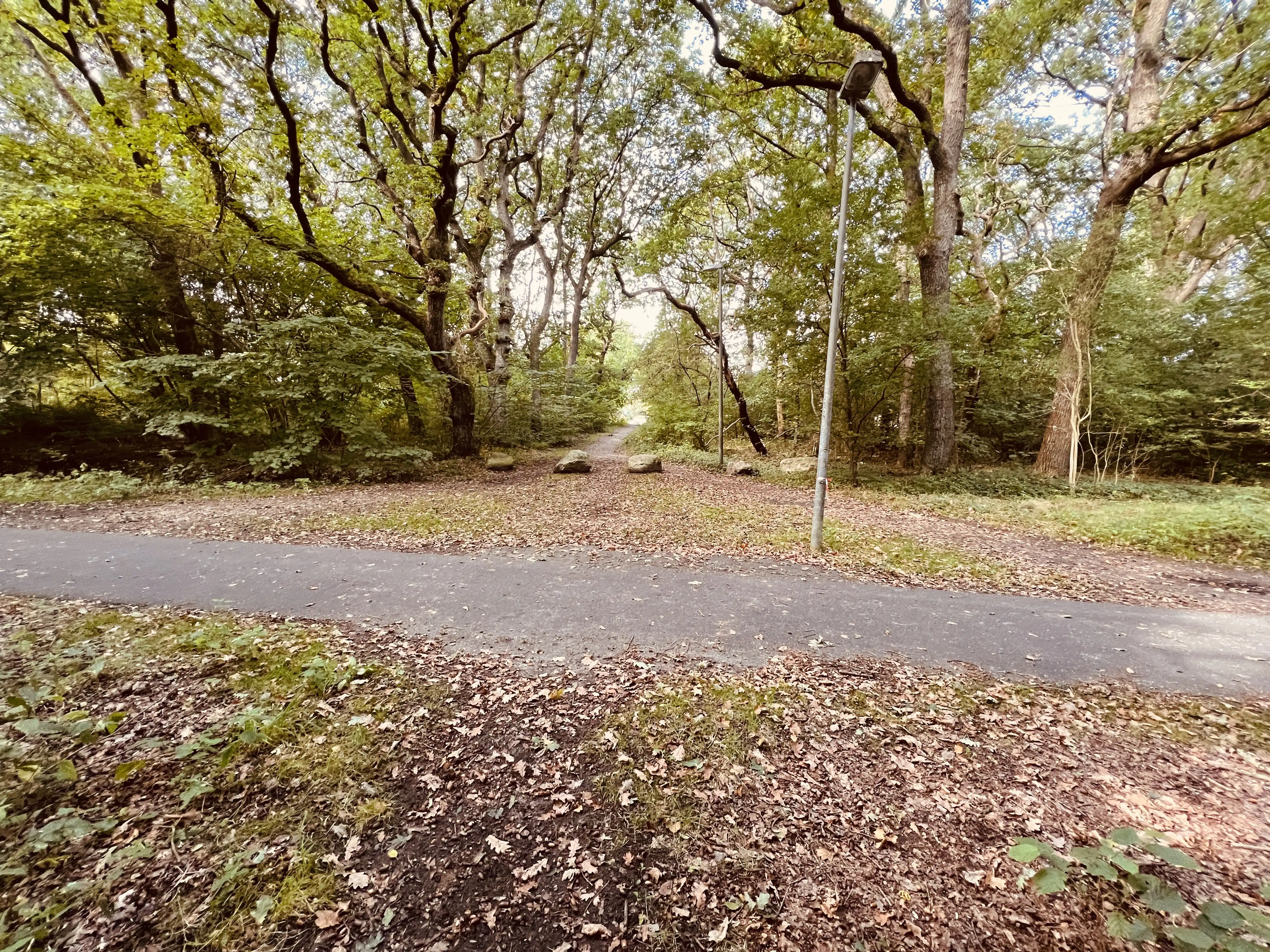 Billede af Kuranstalten Trinbræt - Trinbræt er nedrevet, men Kuranstalten Trinbræt har ligget her. Billede af Kuranstalten Trinbræt - Trinbræt er nedrevet, men Kuranstalten Trinbræt har ligget her.
