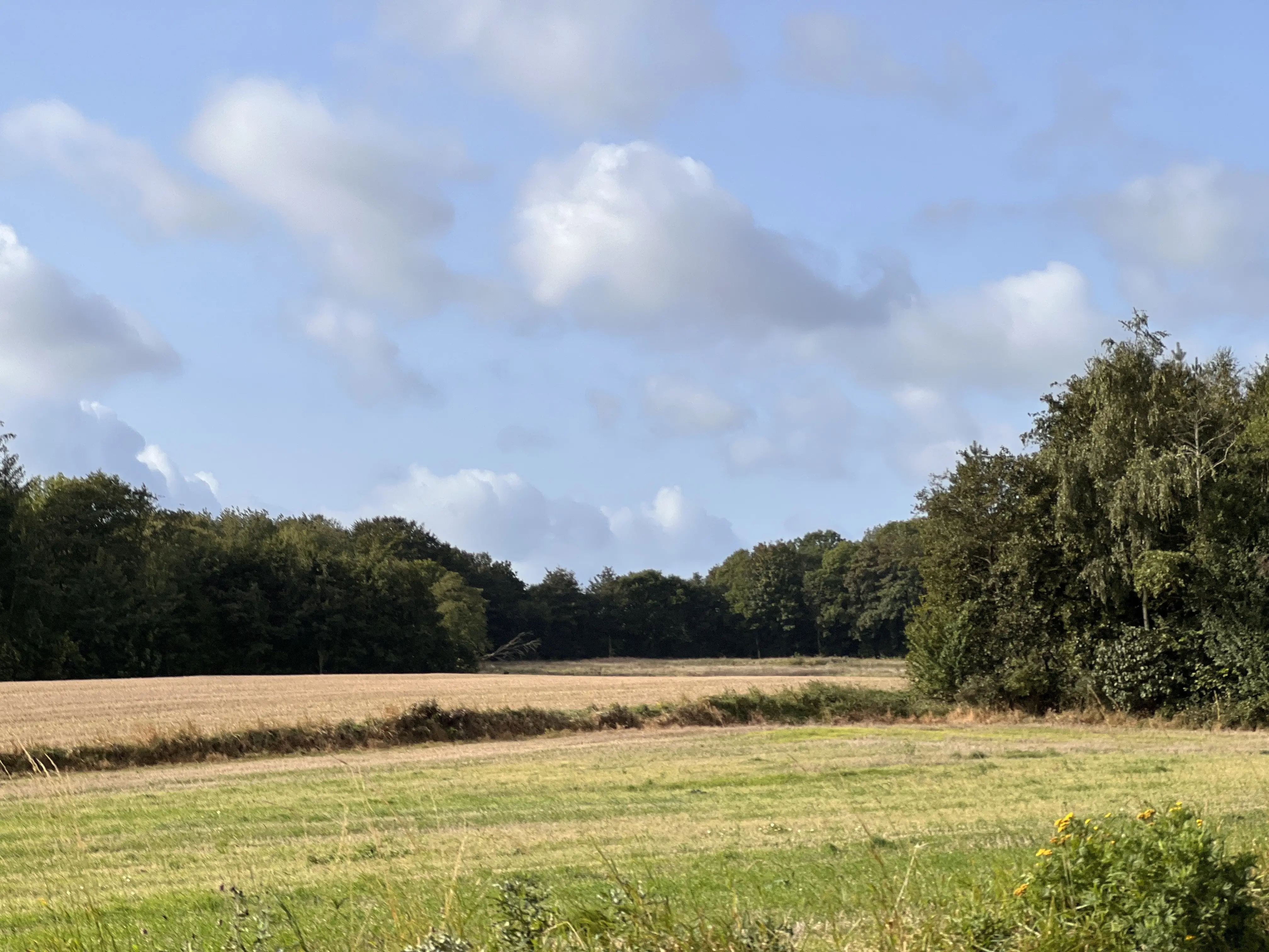 Billede af Lindved Jylland Trinbræt - Trinbræt er nedrevet, men Lindved Jylland Trinbræt har ligget her.