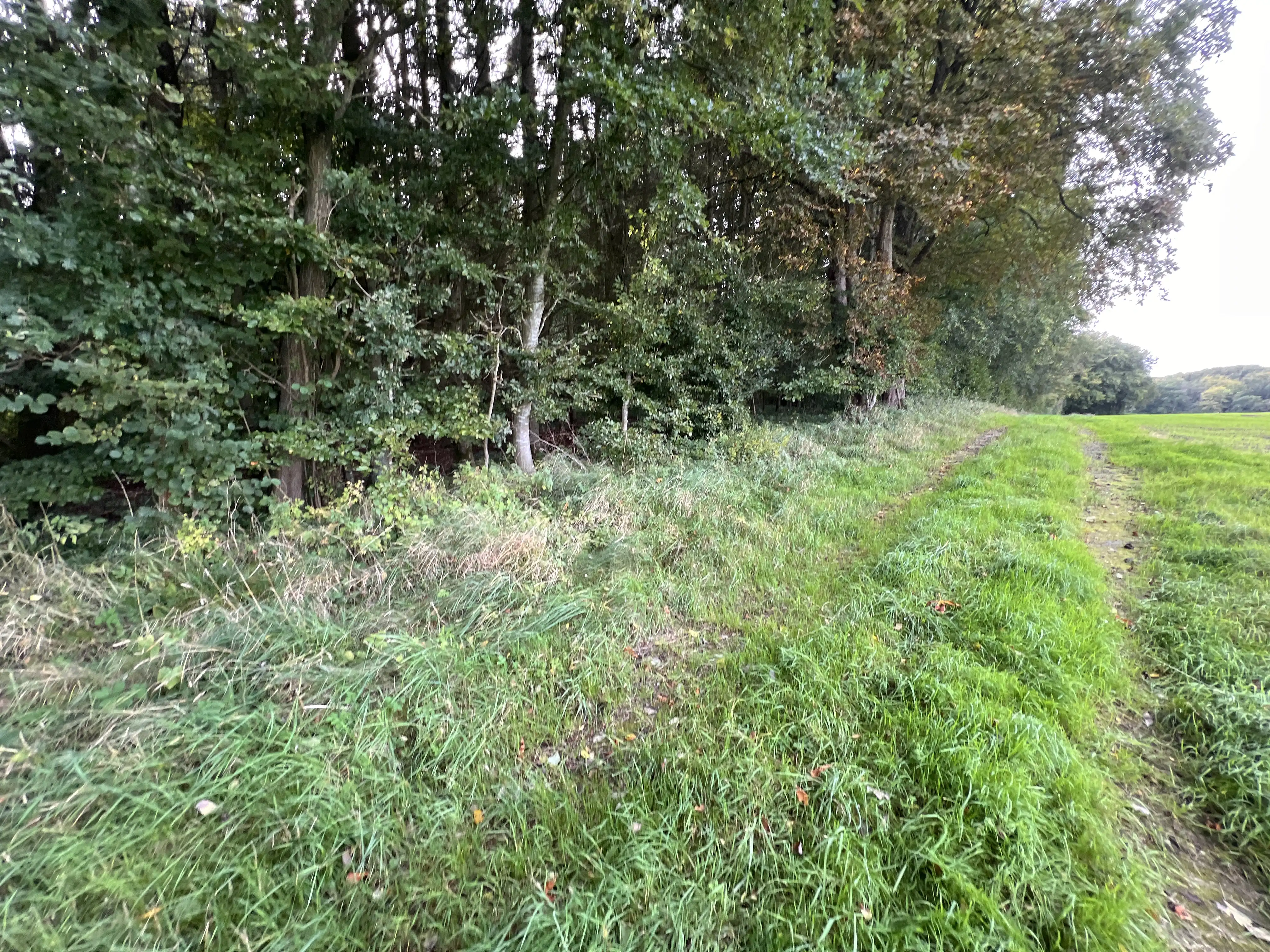 Billede af Dallerupvej Trinbræt - Trinbræt er nedrevet, men Dallerupvej Trinbræt har ligget her. Billede af Dallerupvej Trinbræt - Trinbræt er nedrevet, men Dallerupvej Trinbræt har ligget her.