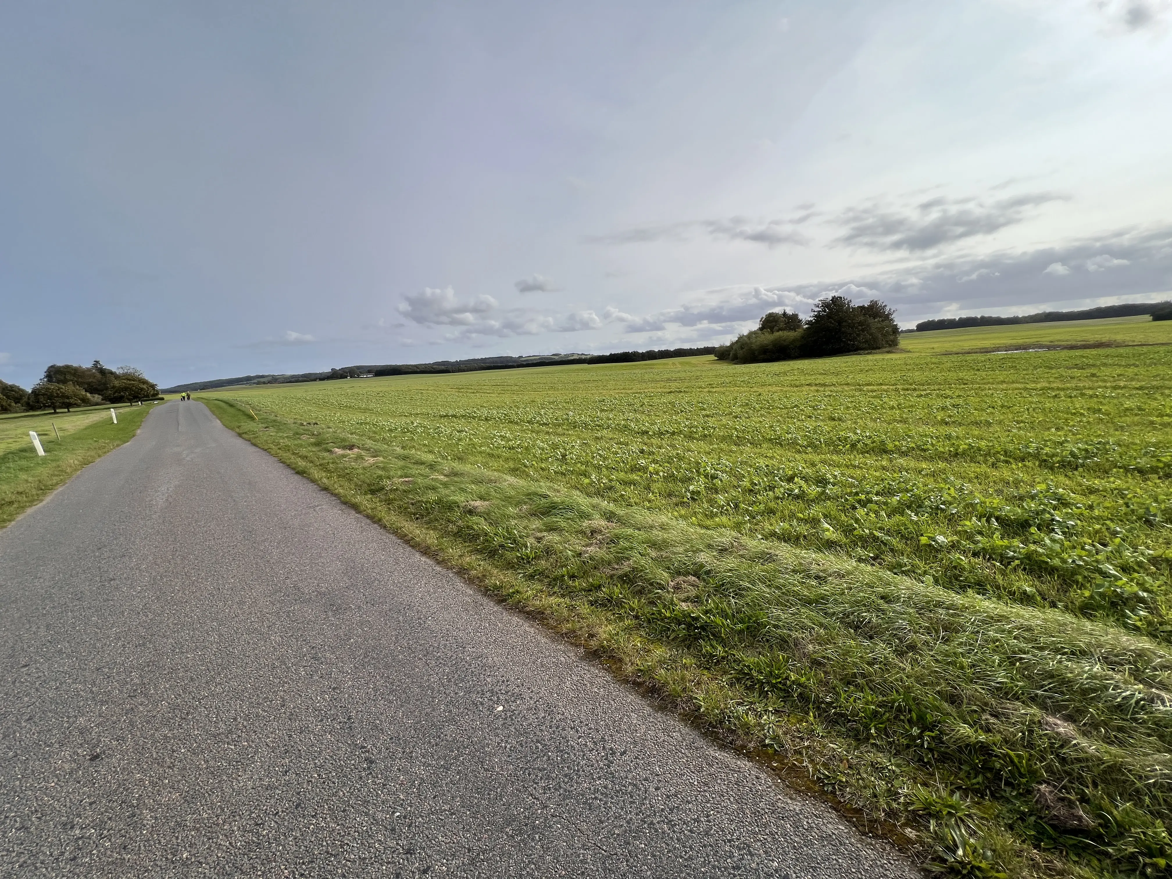 Billede af Ørnstrup Møllevej Trinbræt - Trinbræt er nedrevet, men Ørnstrup Møllevej Trinbræt har ligget her.