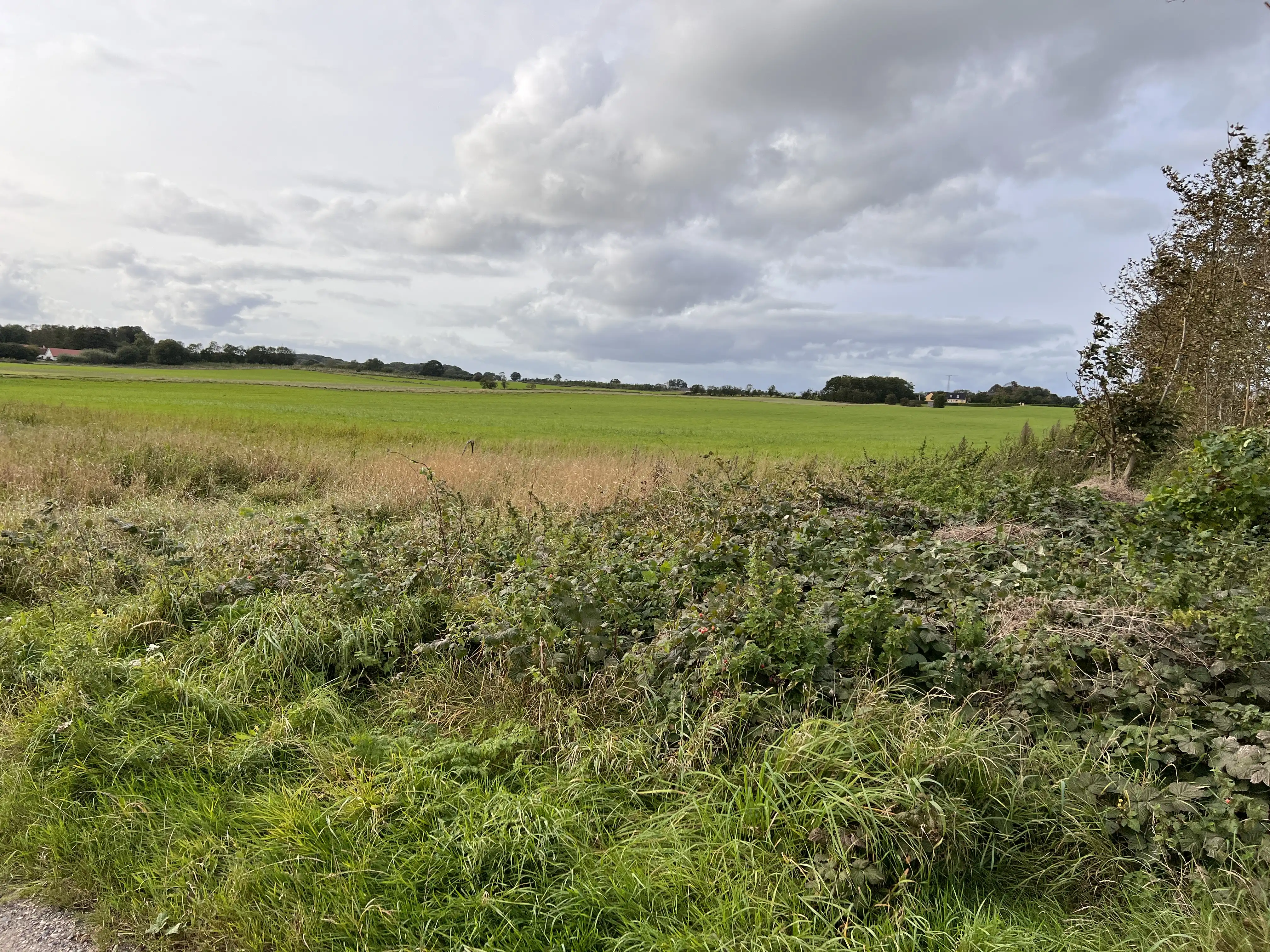 Billede af Honum Skov Trinbræt - Trinbræt er nedrevet, men Honum Skov Trinbræt har ligget her. Billede af Honum Skov Trinbræt - Trinbræt er nedrevet, men Honum Skov Trinbræt har ligget her.