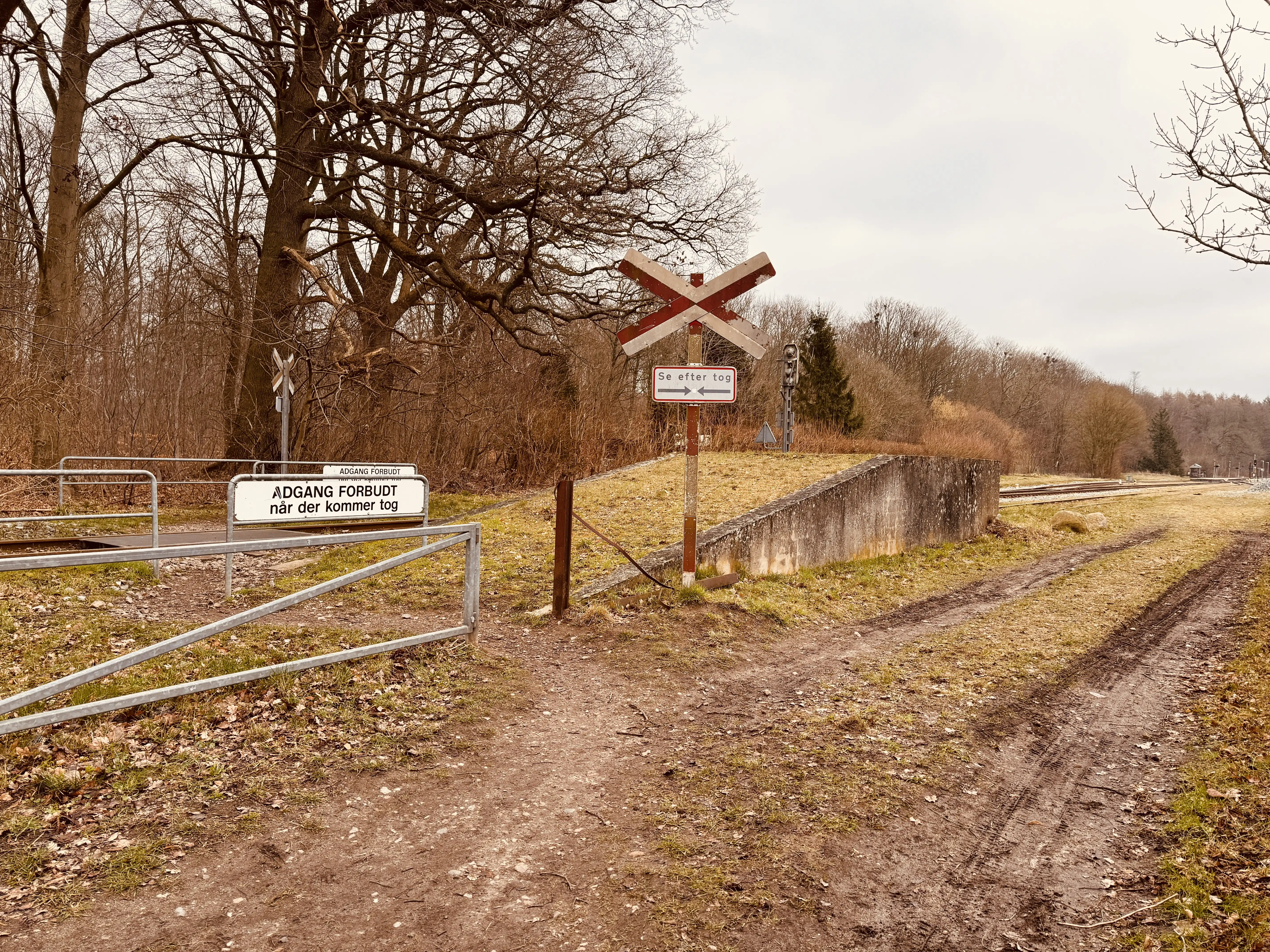 Billede af Dianalund Stations læsserampe. Billede af Dianalund Stations læsserampe.