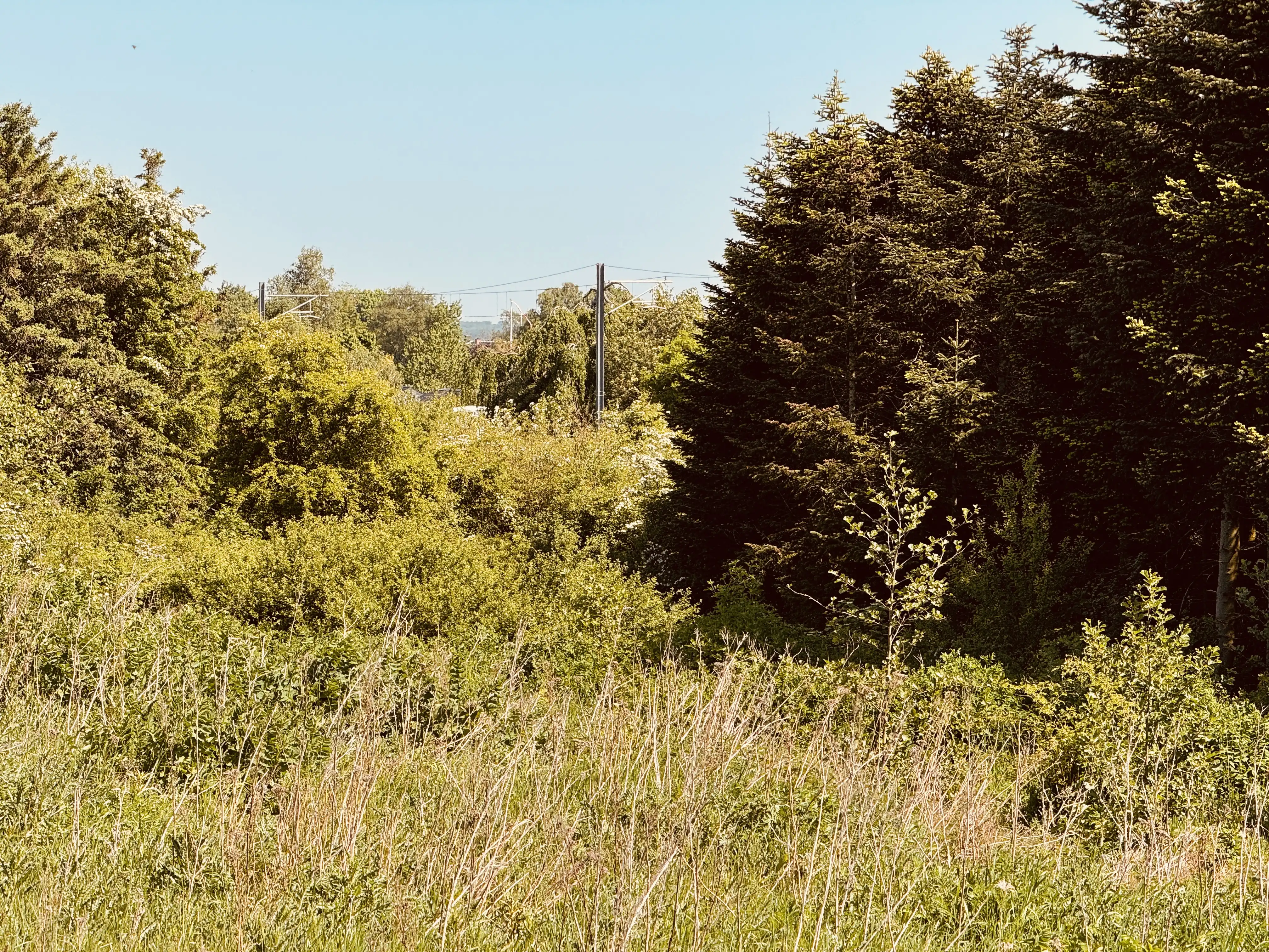 Billede af Terndrup Grusgrav - Grusgrav er nedrevet, men Terndrup Grusgrav har ligget her.