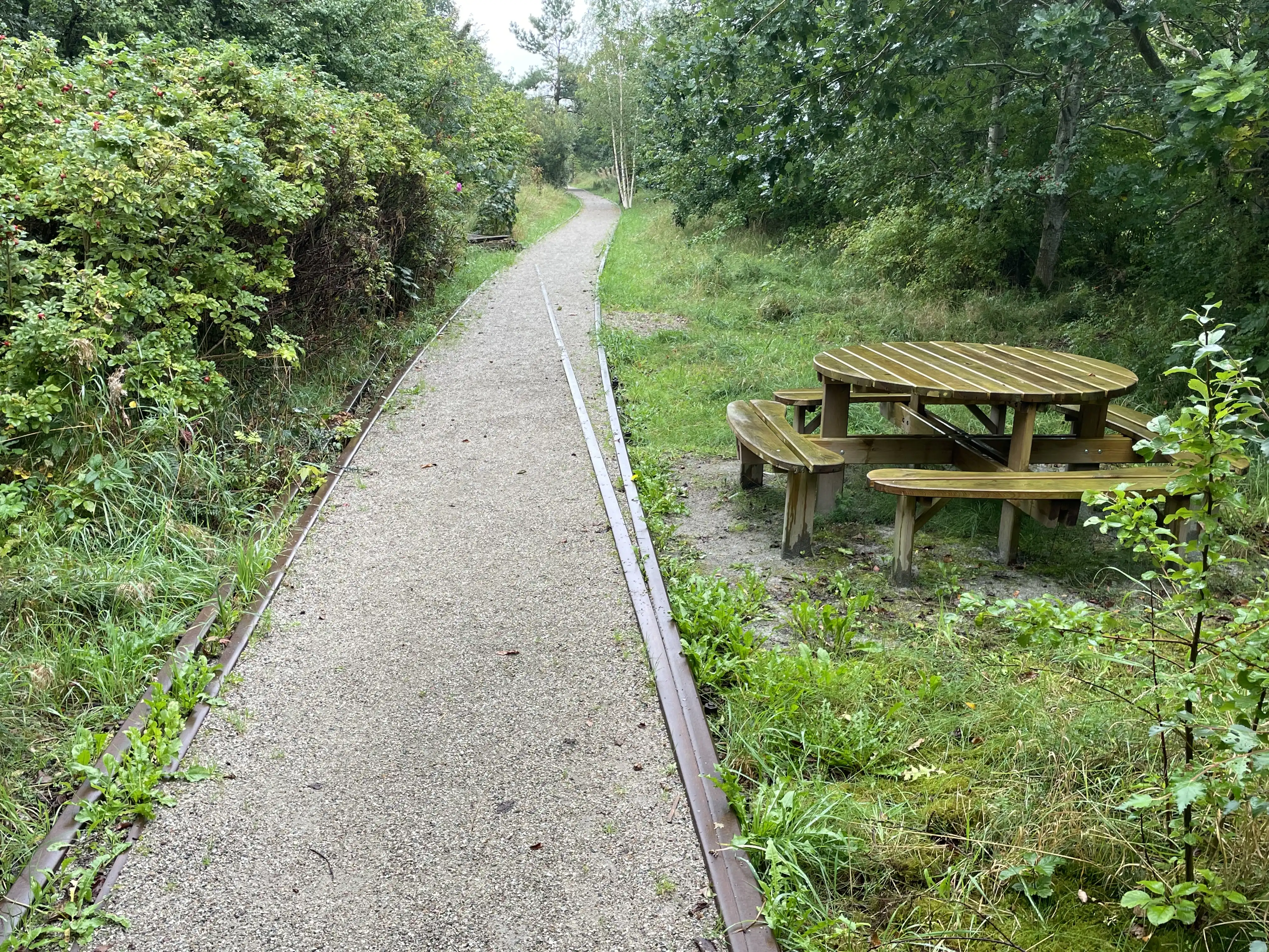 Billede af Bylderup-Bov Stations sporareal. Billede af Bylderup-Bov Stations sporareal.