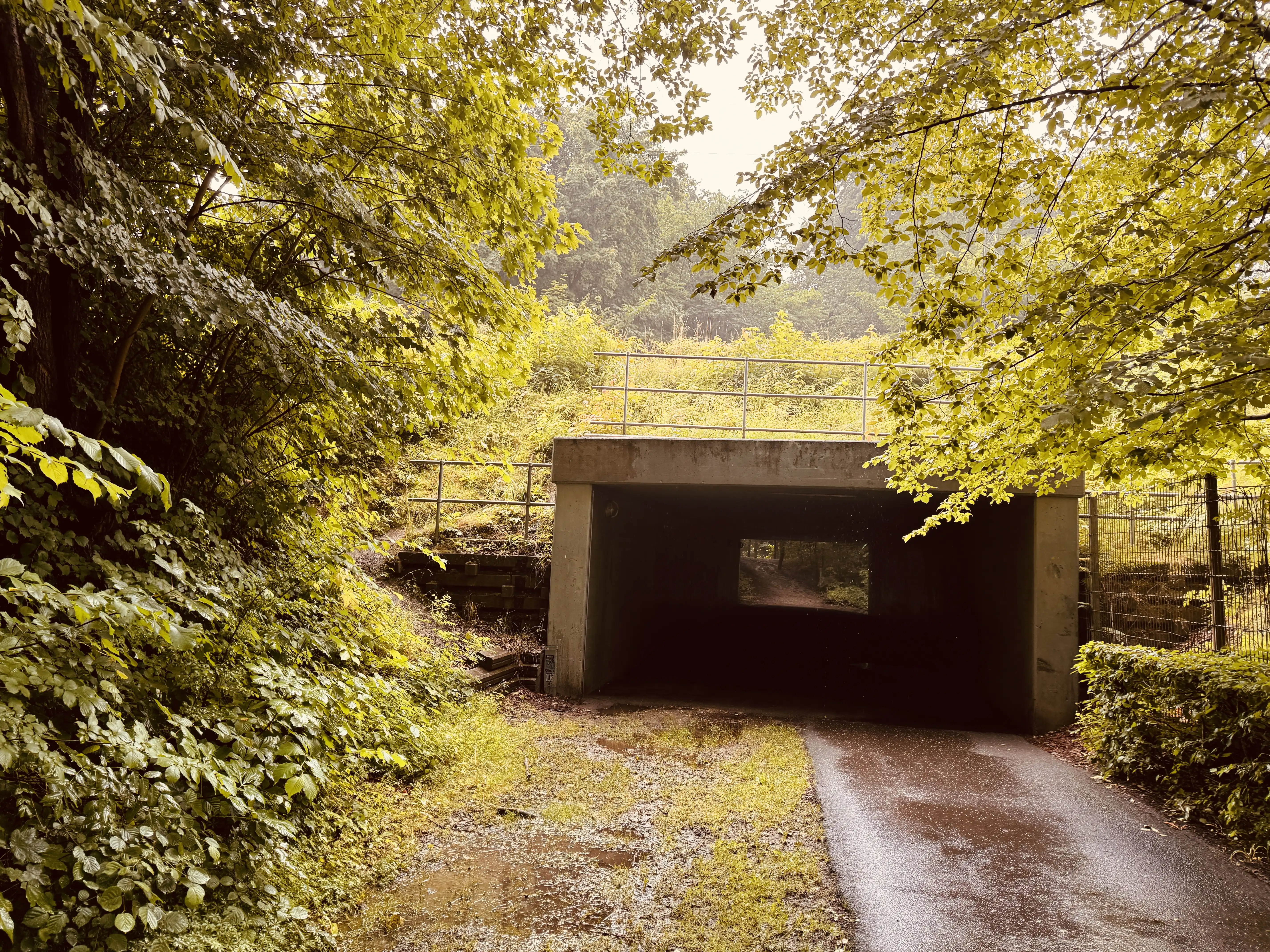 Billede af Furesø Trinbræt - Trinbræt er nedrevet, men Furesø Trinbræt har ligget her.