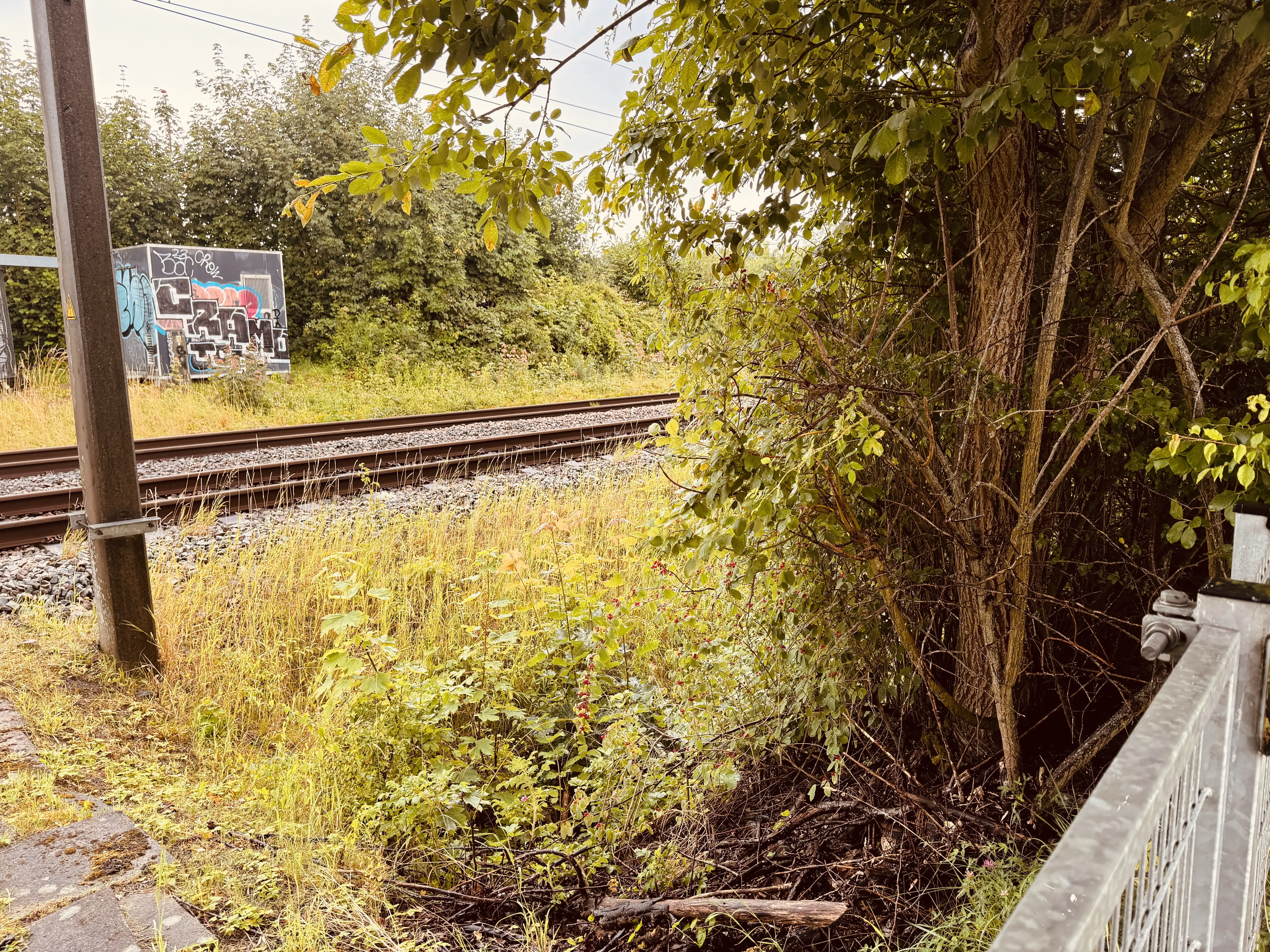 Billede af Syvstjernen Trinbræt - Trinbræt er nedrevet, men Syvstjernen Trinbræt har ligget her. Billede af Syvstjernen Trinbræt - Trinbræt er nedrevet, men Syvstjernen Trinbræt har ligget her.