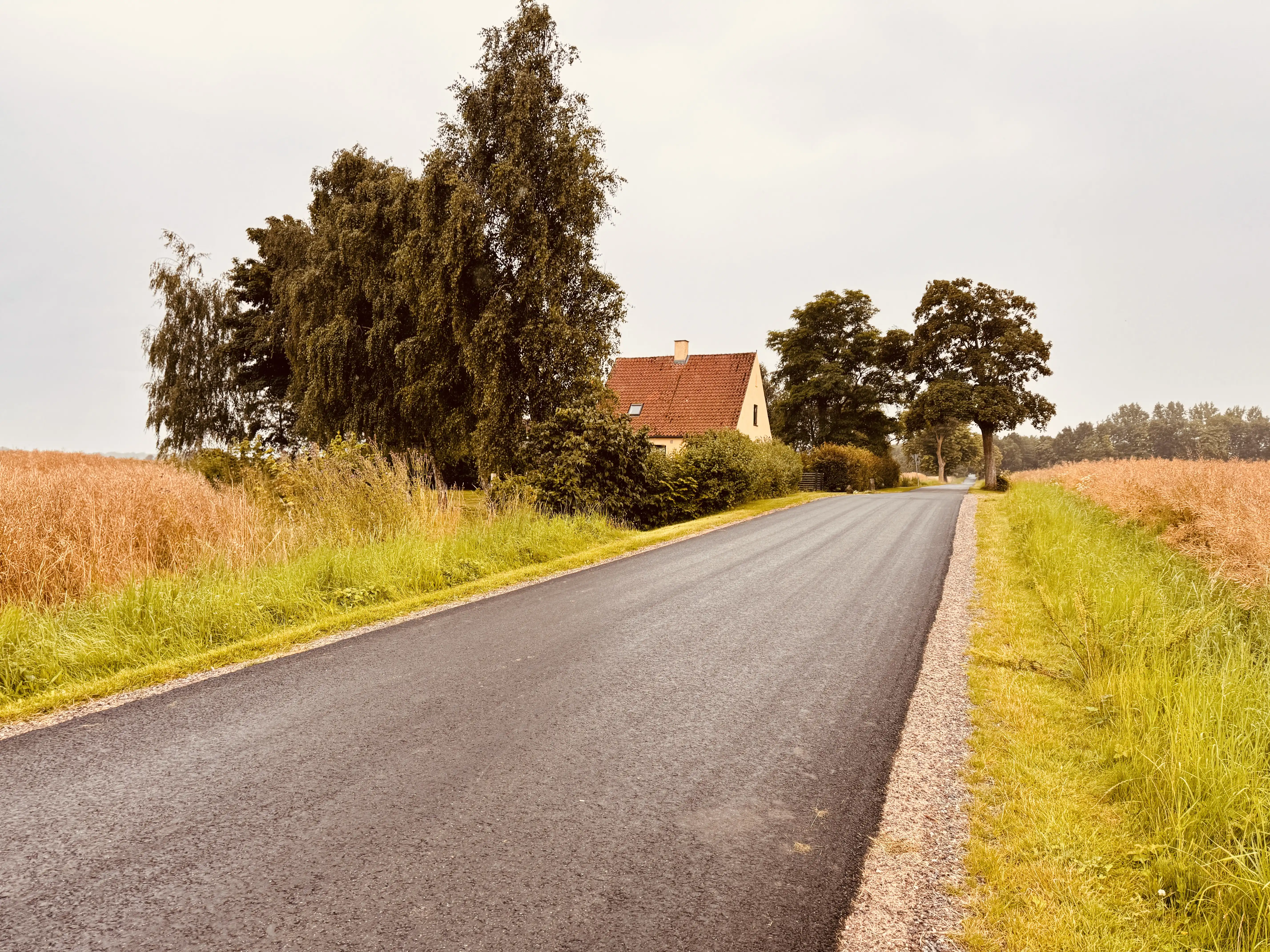 Billede af Ny Lellinge(gaard) Trinbræt - Trinbræt er nedrevet, men Ny Lellinge(gaard) Trinbræt har ligget her.