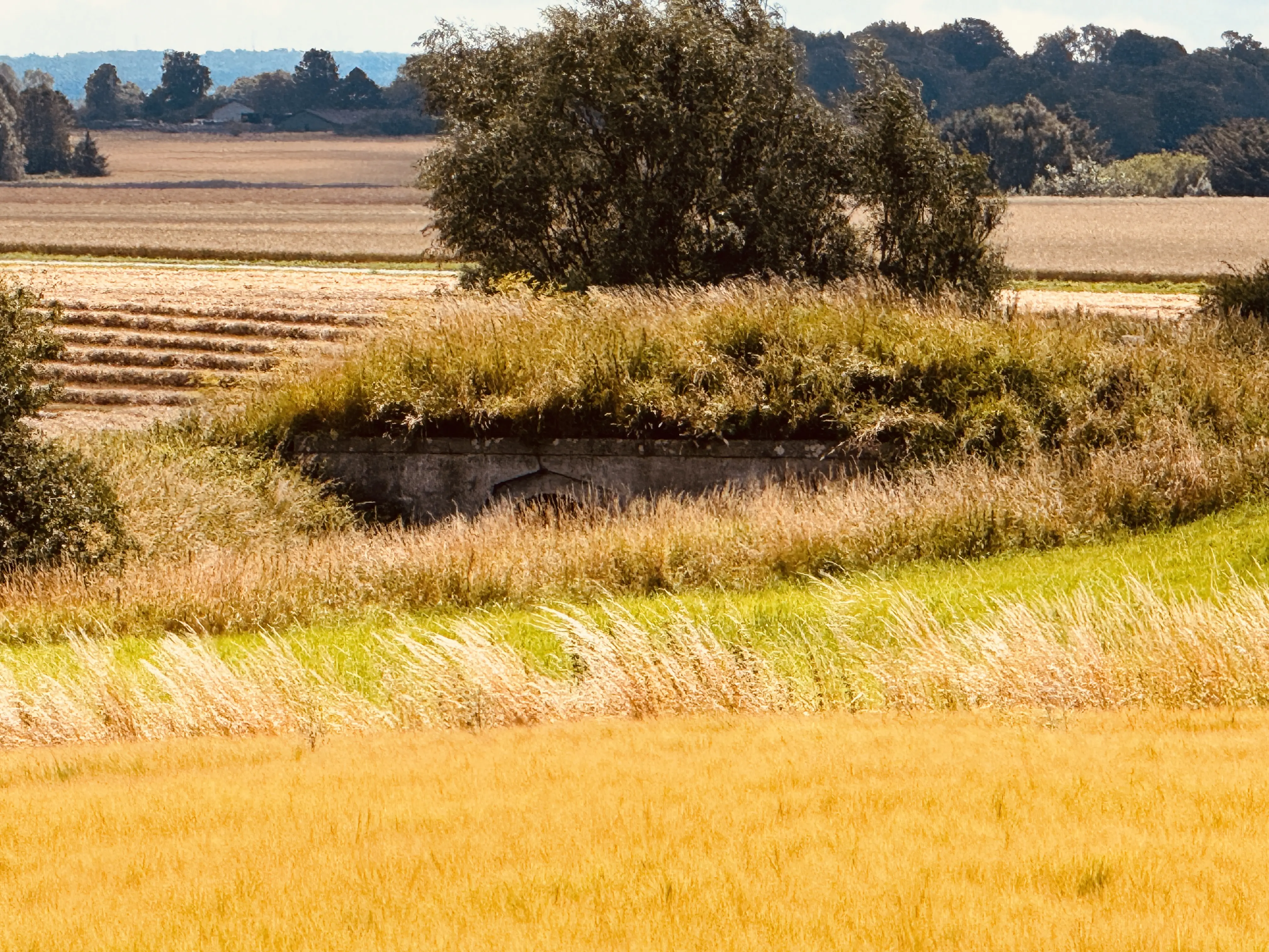 Billede af Prøvegaardsvej Trinbræt - Trinbræt er nedrevet, men den gamle bro findes stadig. Billede af Prøvegaardsvej Trinbræt - Trinbræt er nedrevet, men den gamle bro findes stadig.