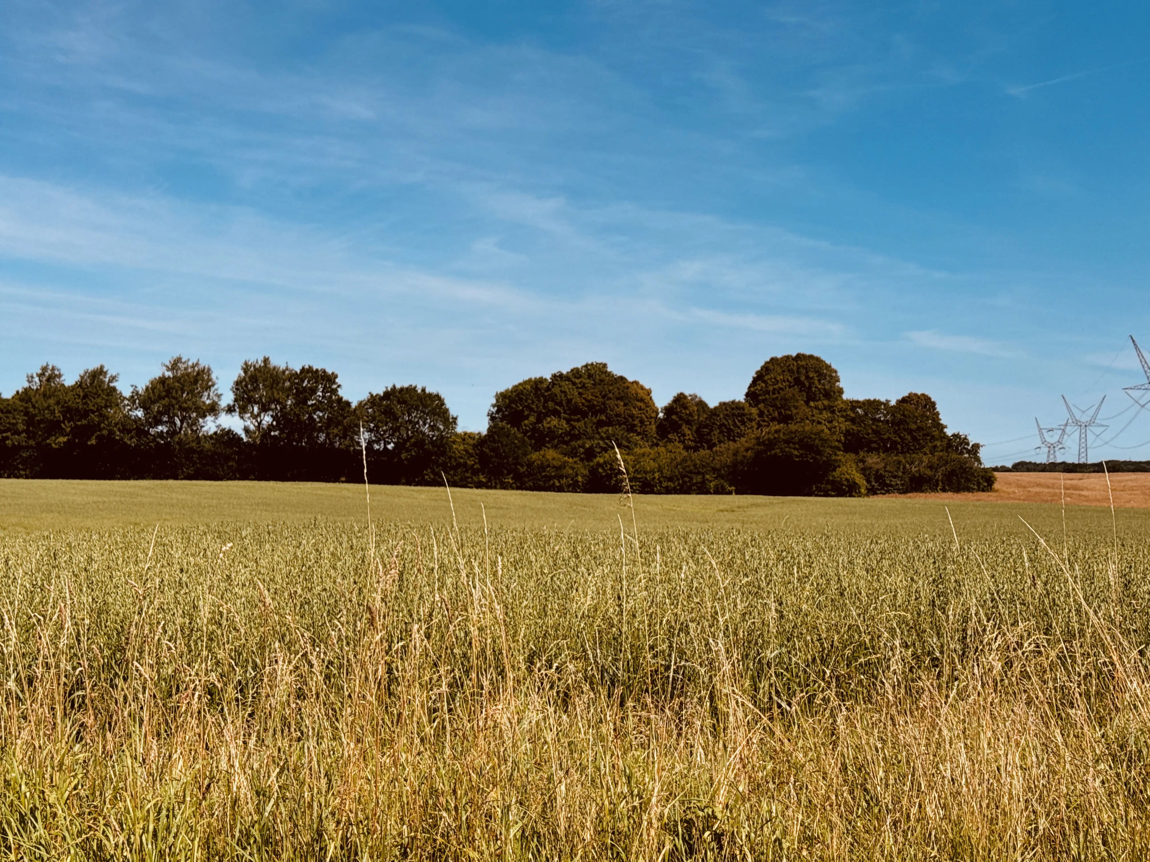 Billede af Ulriksbjerg Holdeplads med sidespor - Holdeplads med sidespor er nedrevet, men Ulriksbjerg Holdeplads med sidespor har ligget her.