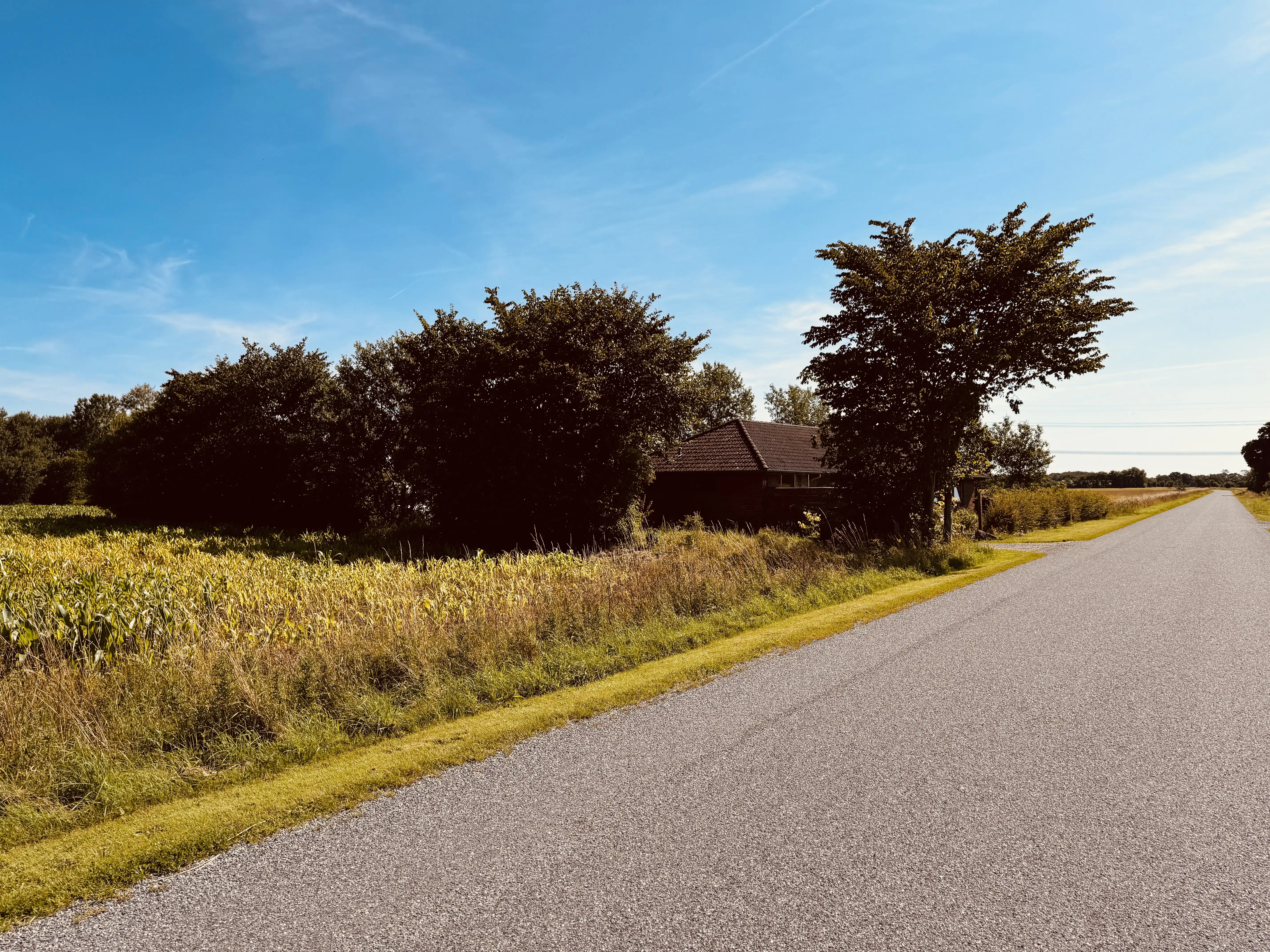 Billede af Skodborgskov Holdeplads med sidespor - Holdeplads med sidespor er nedrevet, men Skodborgskov Holdeplads med sidespor har ligget her. Billede af Skodborgskov Holdeplads med sidespor - Holdeplads med sidespor er nedrevet, men Skodborgskov Holdeplads med sidespor har ligget her.