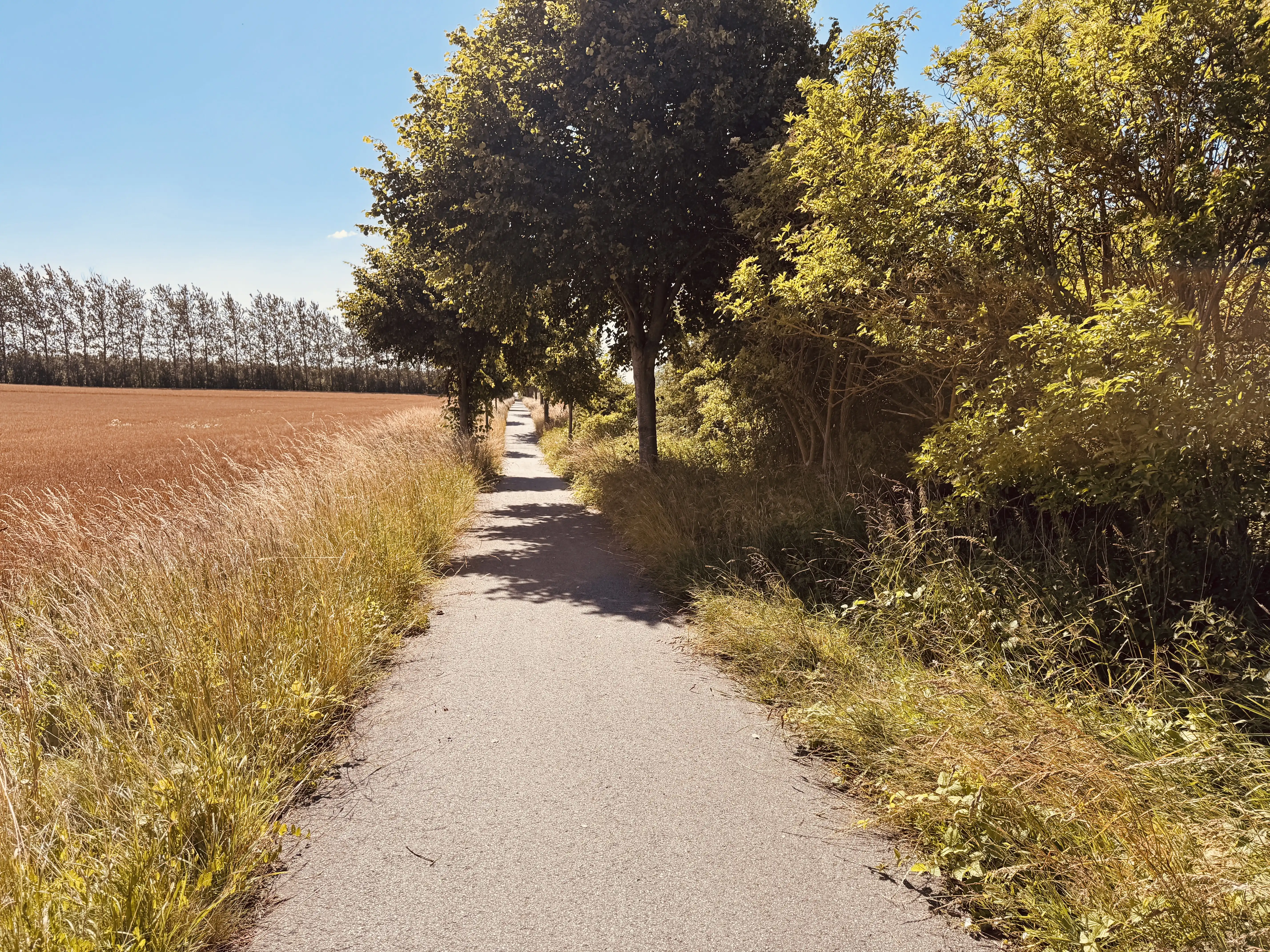 Billede af Eriksminde Trinbræt - Trinbræt er nedrevet, men Eriksminde Trinbræt har ligget her.