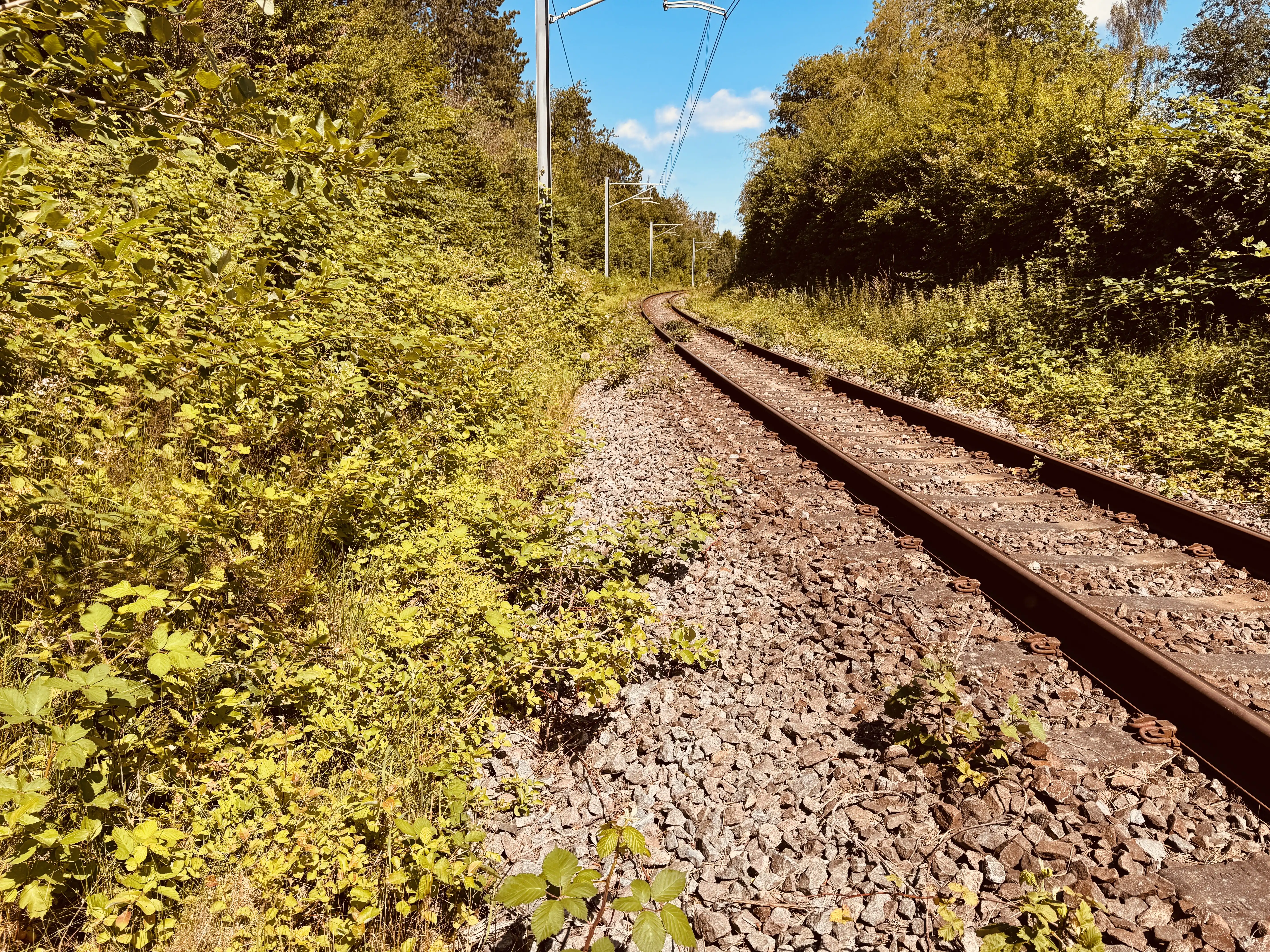 Billede af Banevolden Trinbræt - Trinbræt er nedrevet, men Banevolden Trinbræt har ligget her.