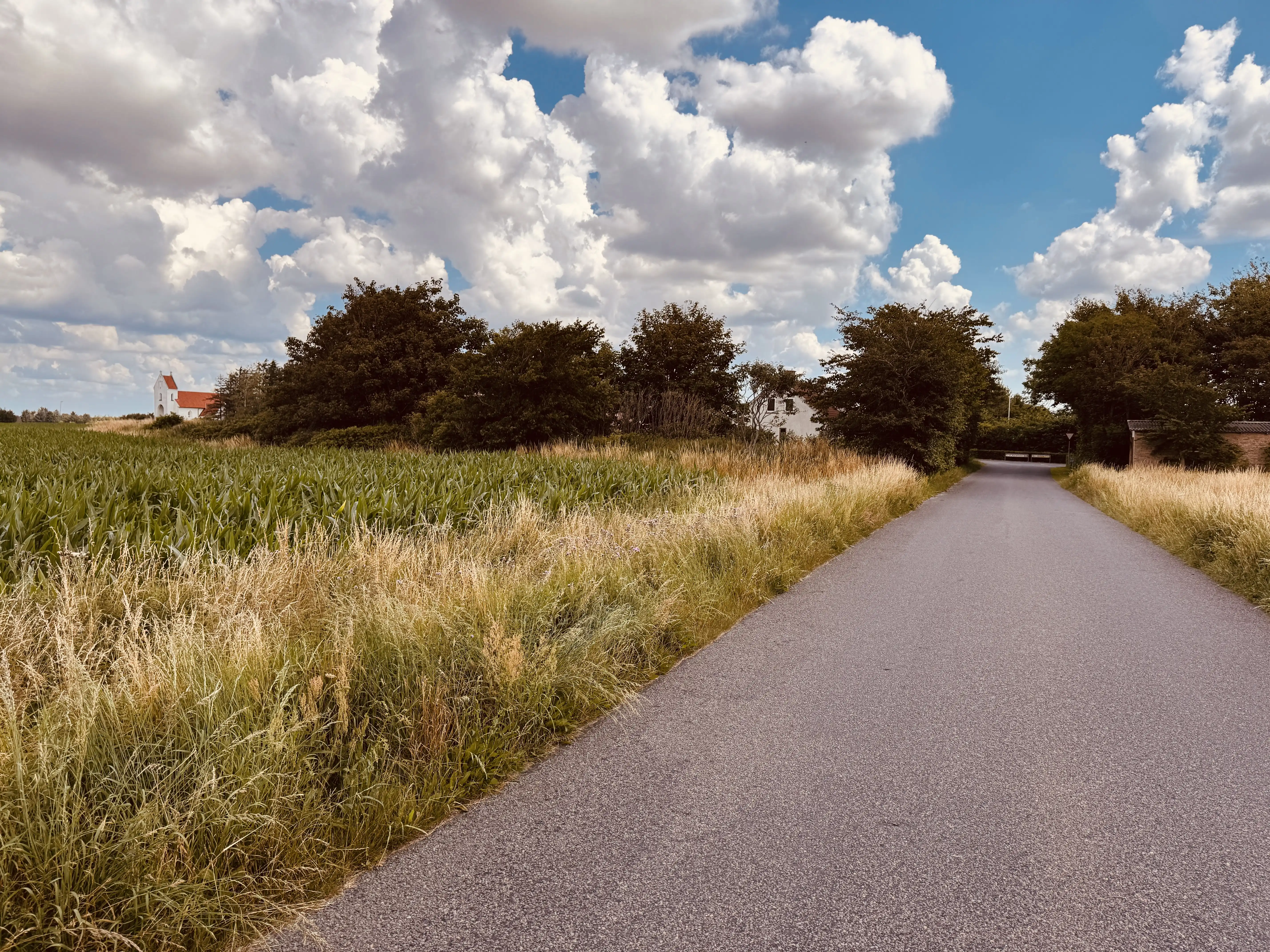 Billede af Alstrup Trinbræt - Trinbræt er nedrevet, men Alstrup Trinbræt har ligget her.