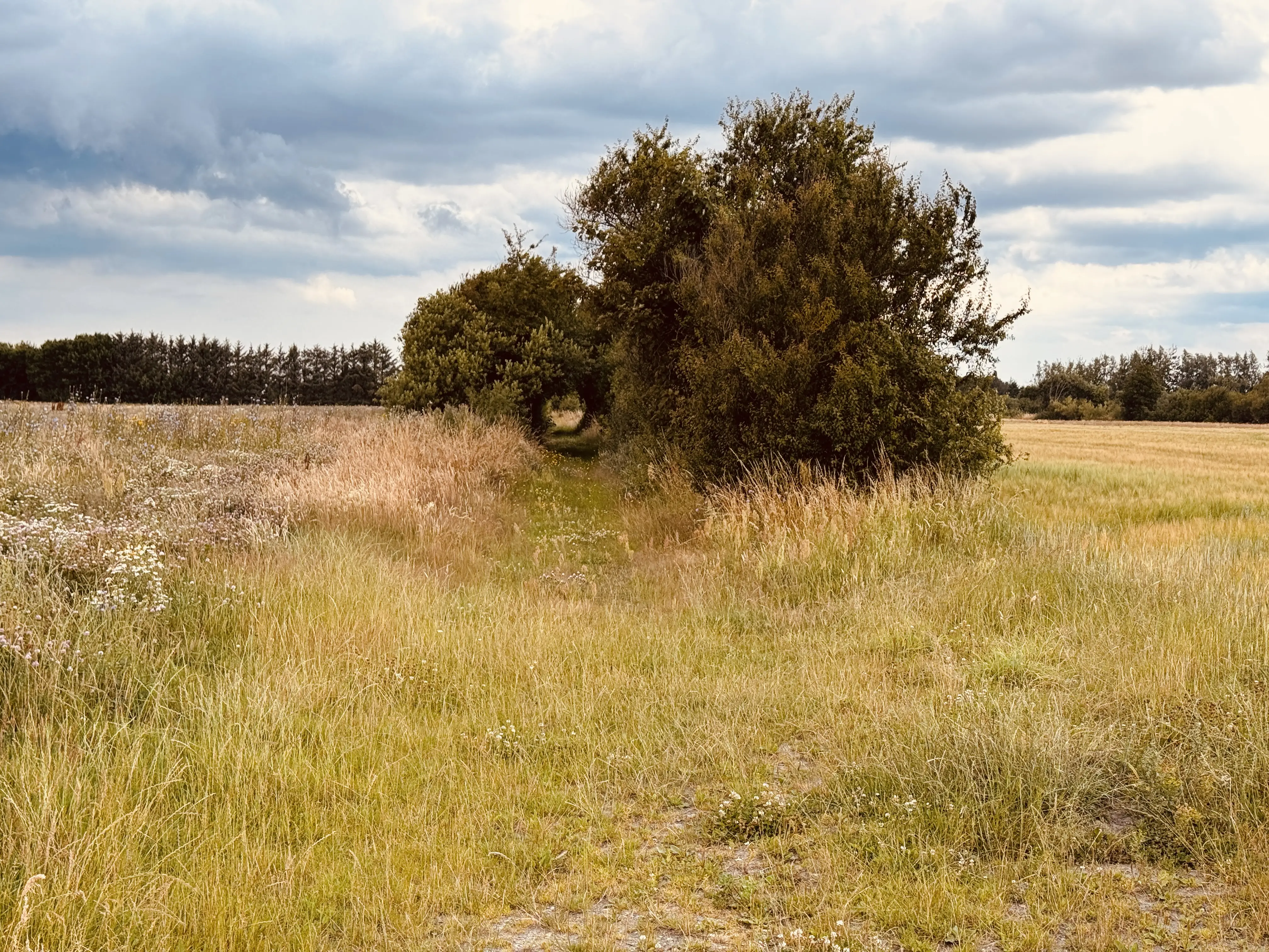 Billede af Røde Hede Trinbræt - Trinbræt er nedrevet, men Røde Hede Trinbræt har ligget her.
