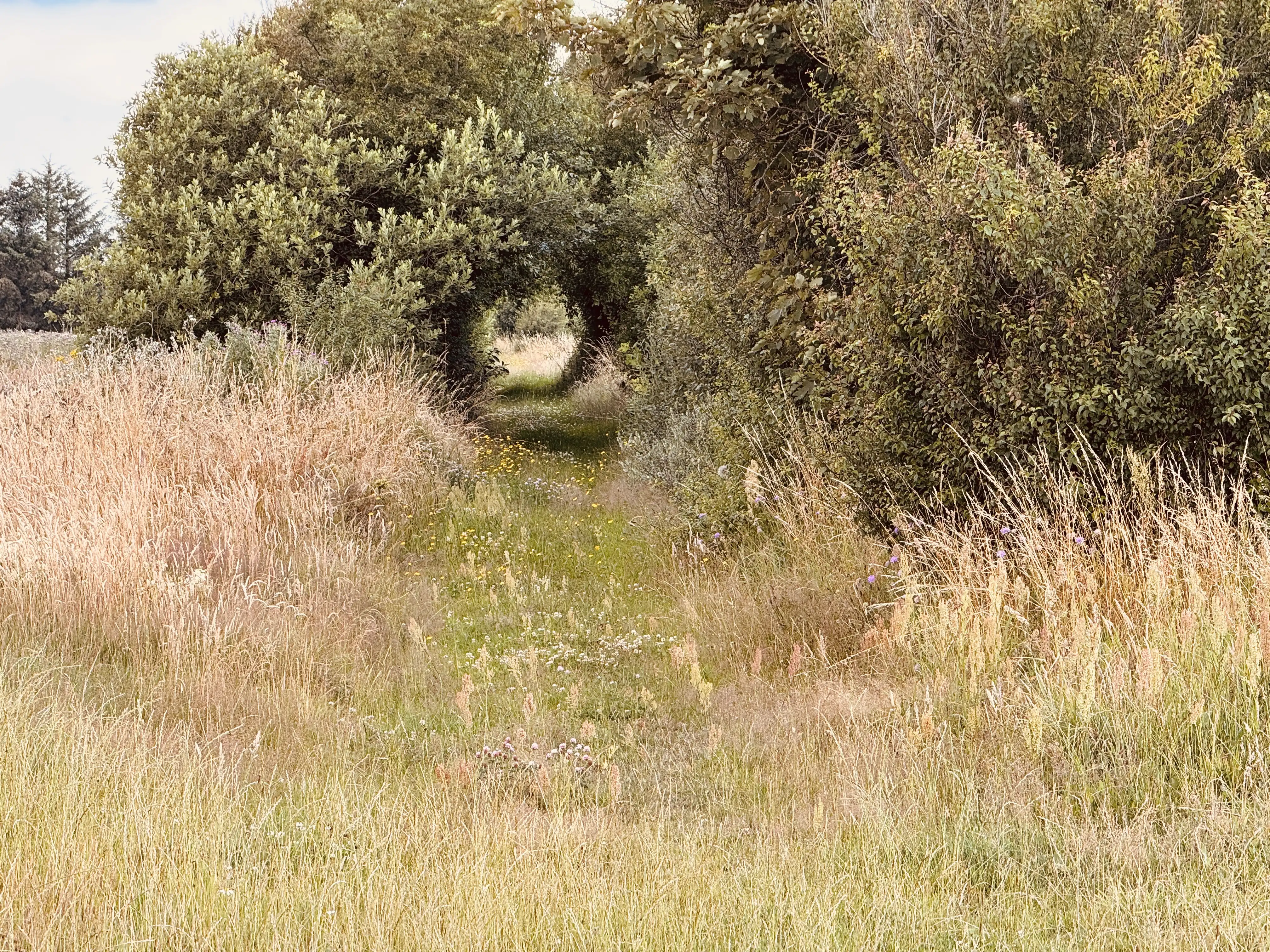 Billede af Røde Hede Trinbræt - Trinbræt er nedrevet, men Røde Hede Trinbræt har ligget her.