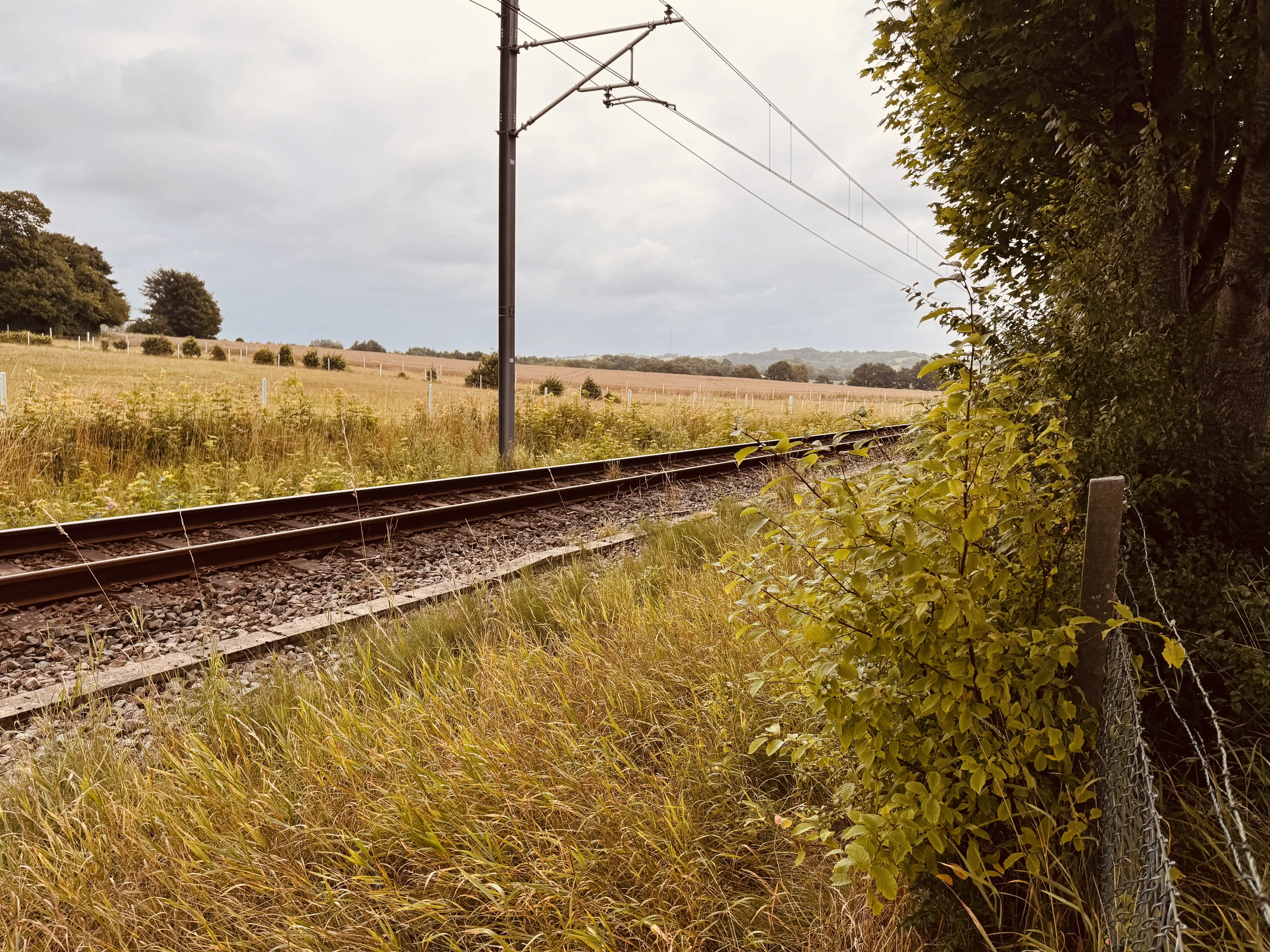 Billede af Havebyen Trinbræt - Trinbræt er nedrevet, men Havebyen Trinbræt har ligget her.