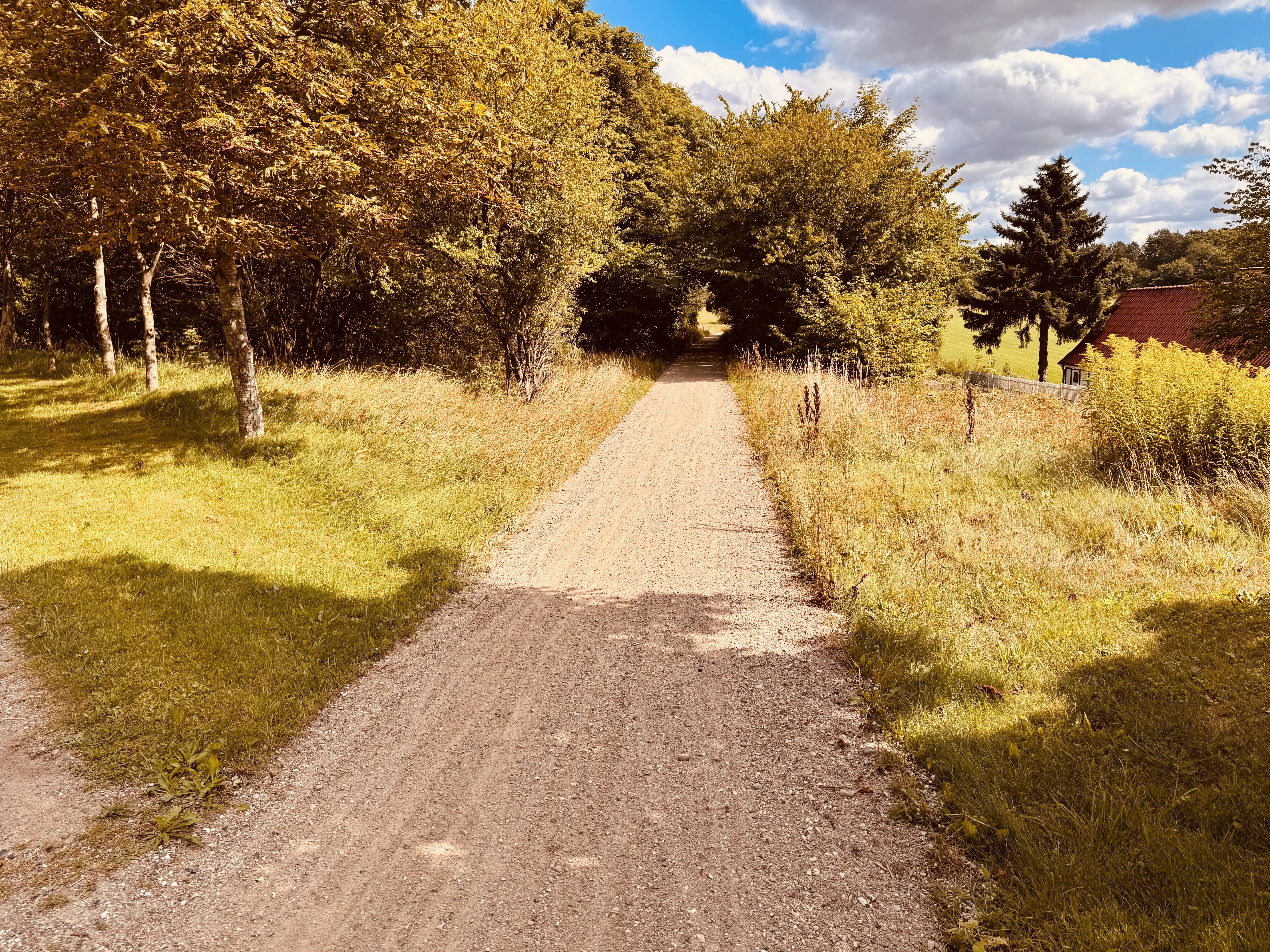 Billede af Nebstrup Trinbræt med Sidespor - Trinbræt med Sidespor er nedrevet, men Nebstrup Trinbræt med Sidespor har ligget her.