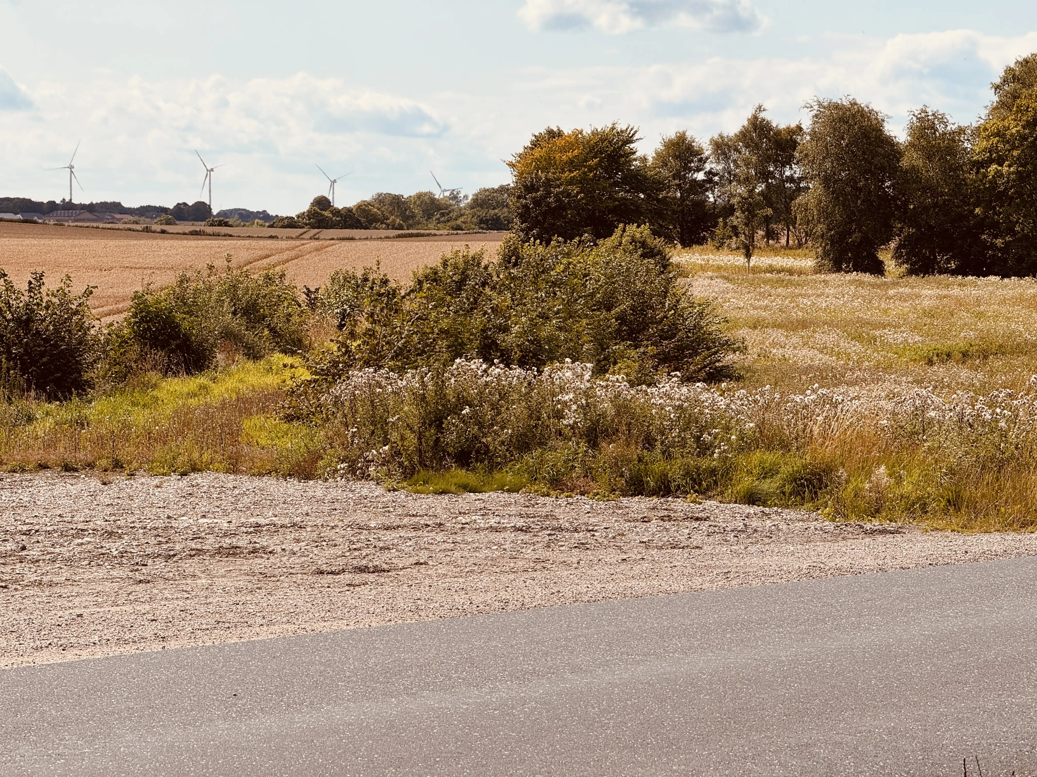 Billede af Gjerlev Østermark Trinbræt - Trinbræt er nedrevet, men Gjerlev Østermark Trinbræt har ligget her.