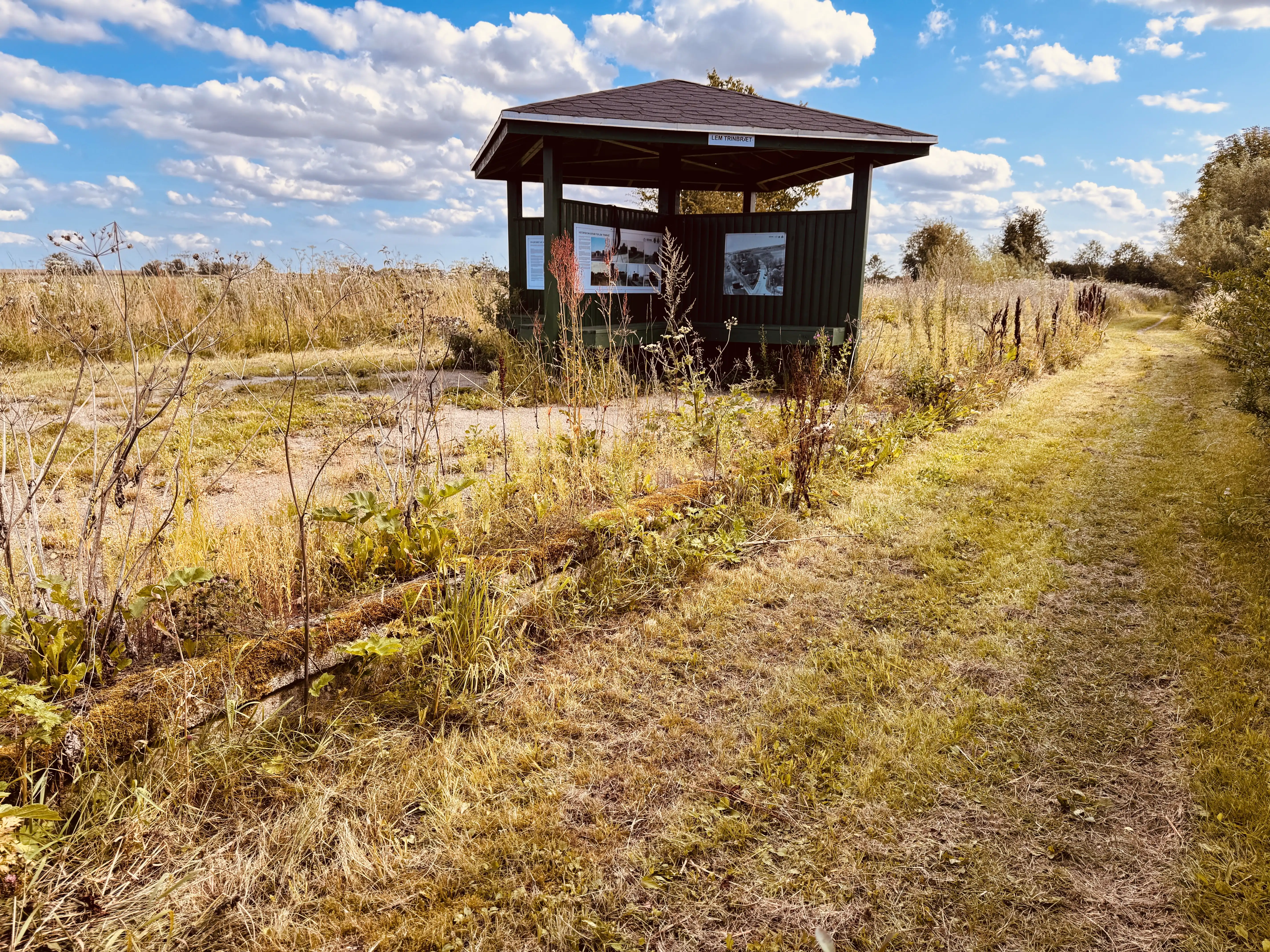 Billede af Lem Trinbræt med Sidespor.