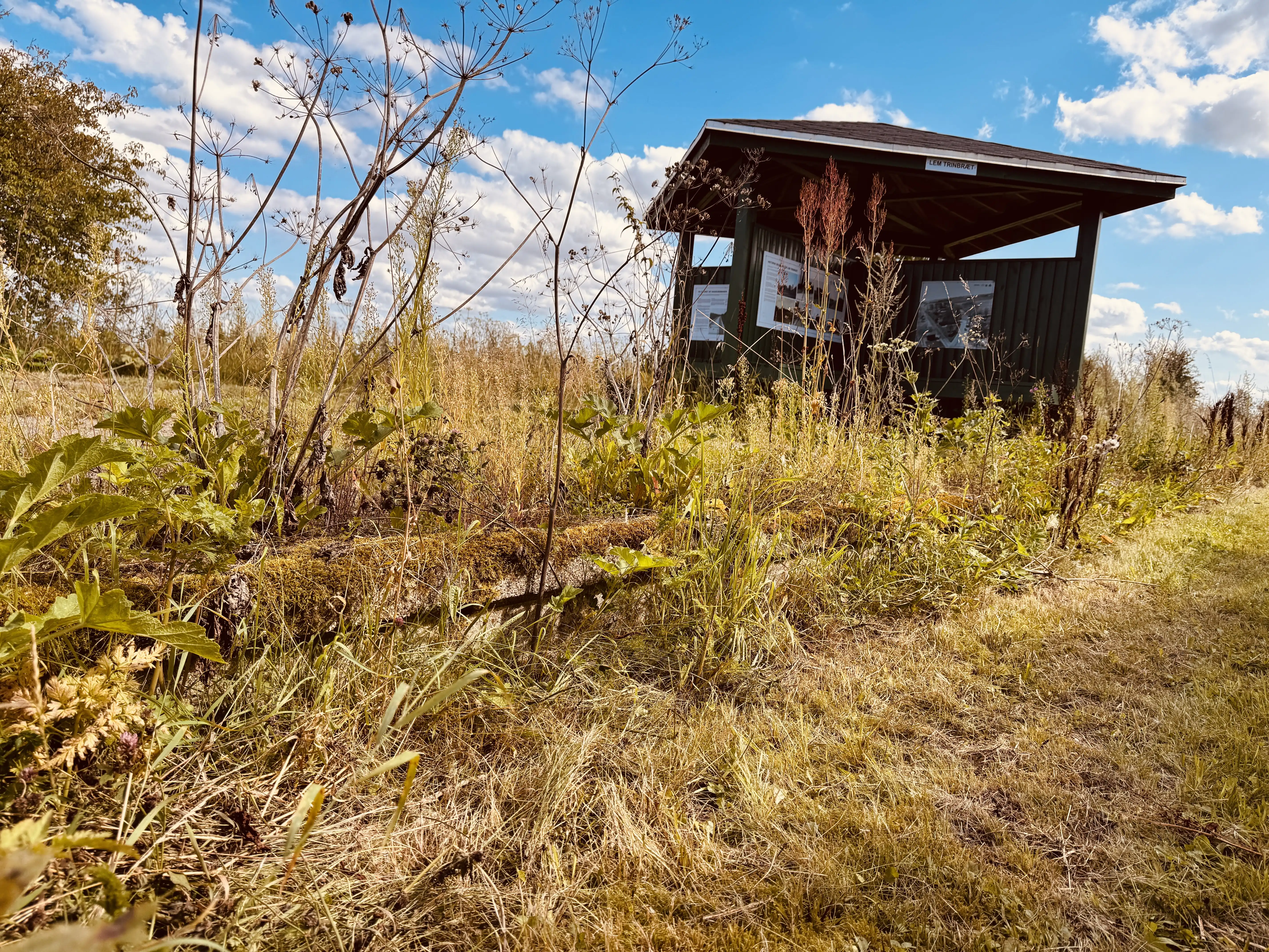Billede af Lem Trinbræt med Sidespor.