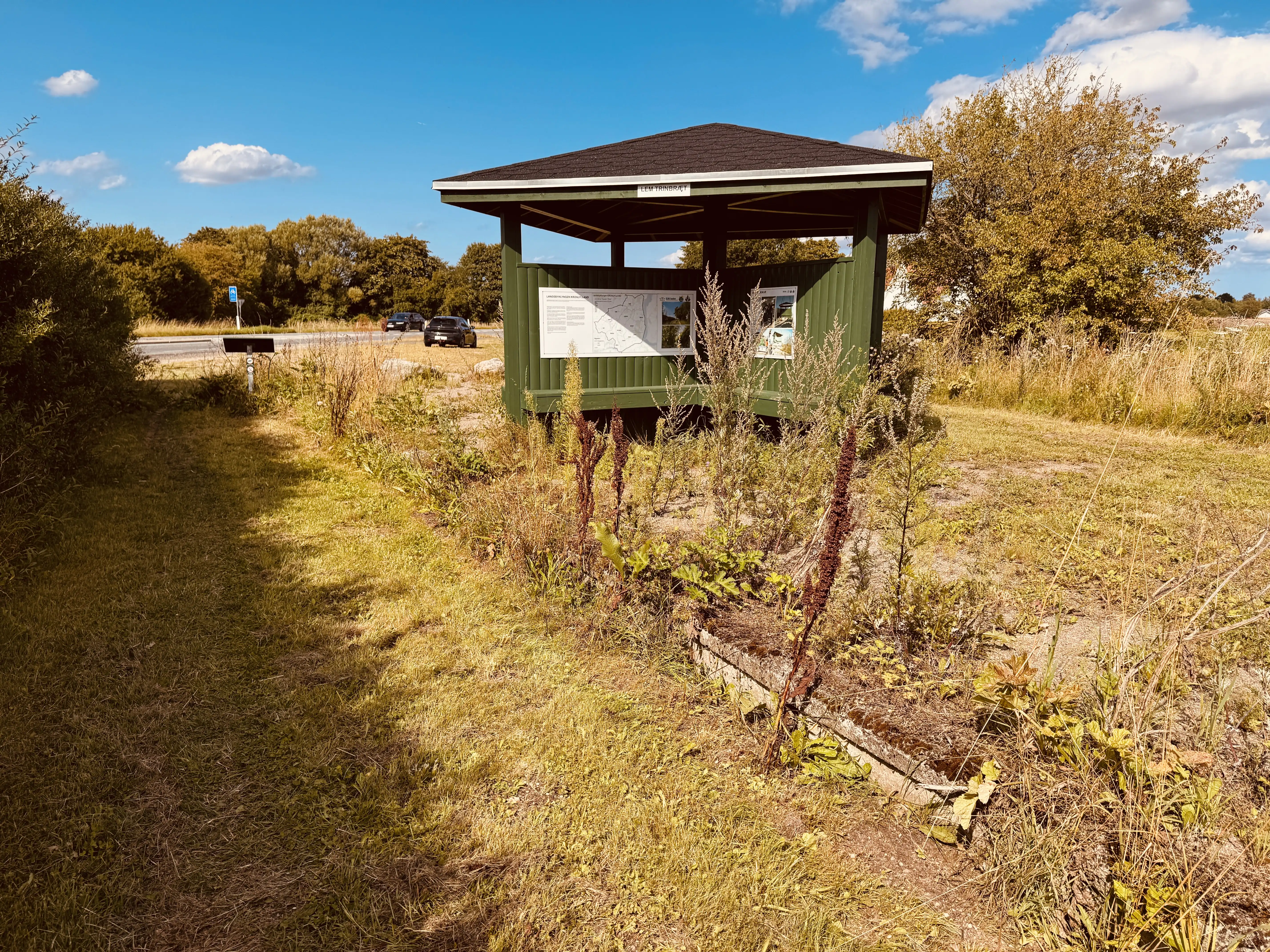 Billede af Lem Trinbræt med Sidespor.