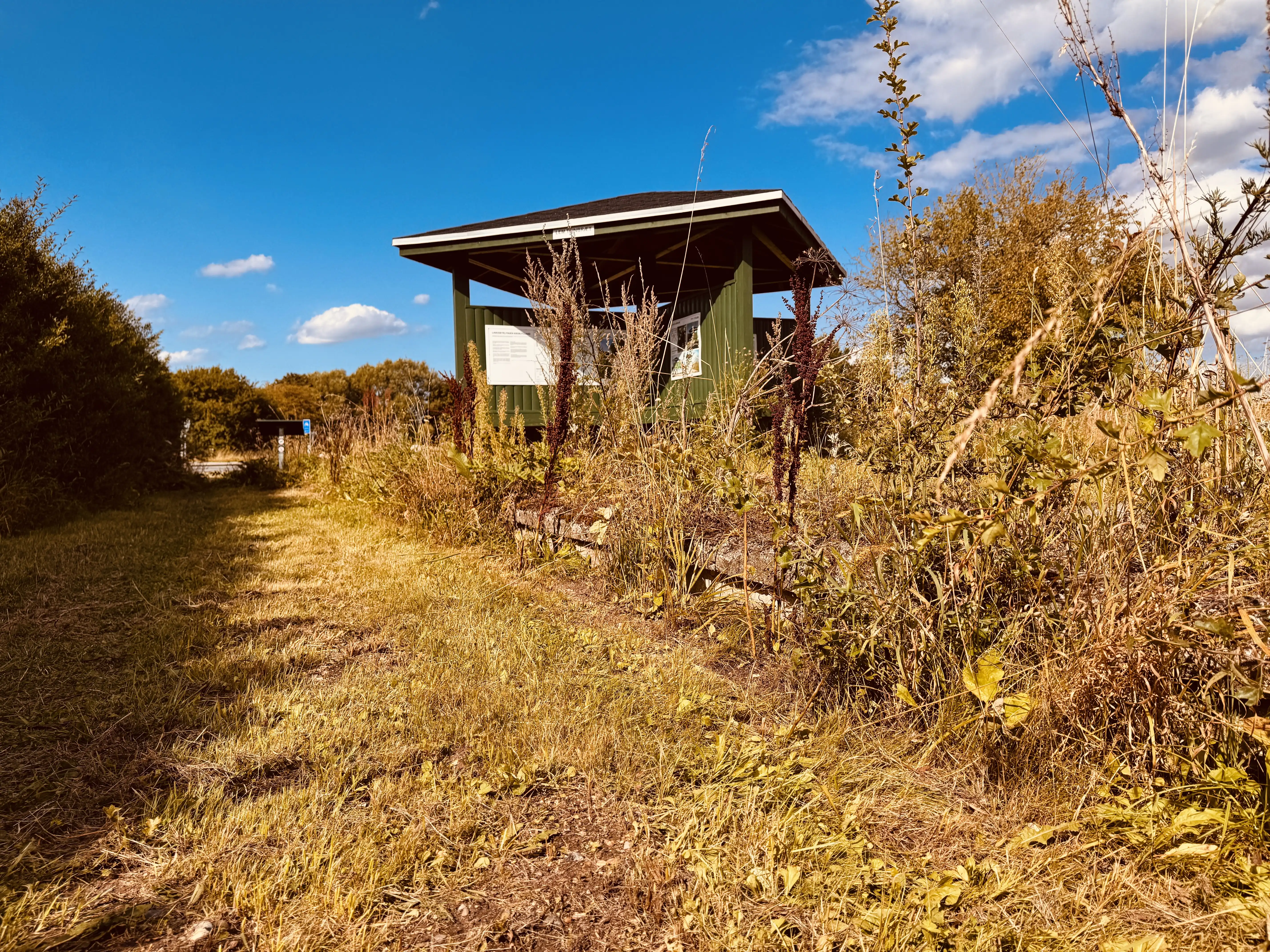 Billede af Lem Trinbræt med Sidespor.