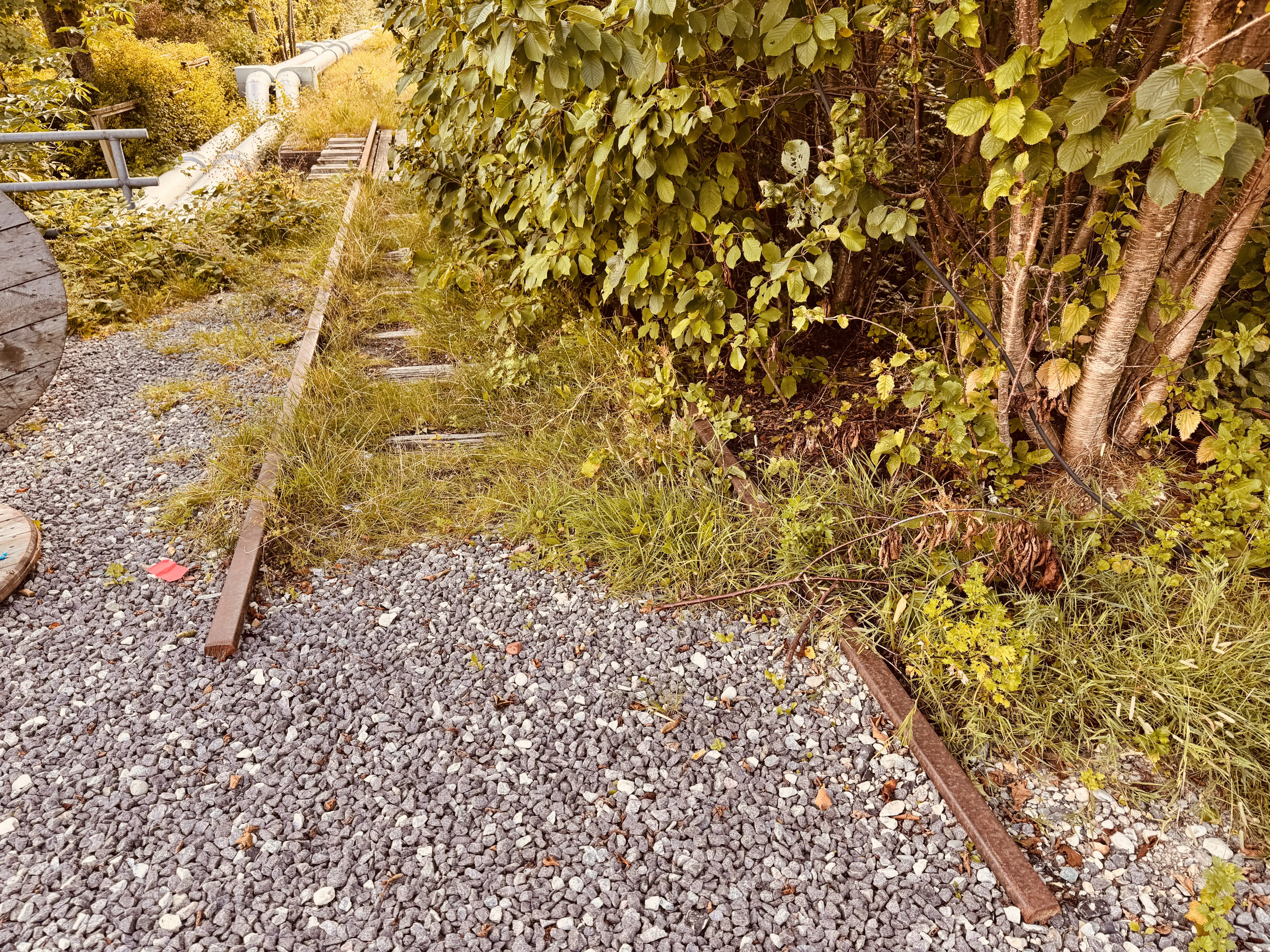 Billede af lidt sporrester ved det gamle nedlagte Dronningborg Trinbræt. Billede af lidt sporrester ved det gamle nedlagte Dronningborg Trinbræt.